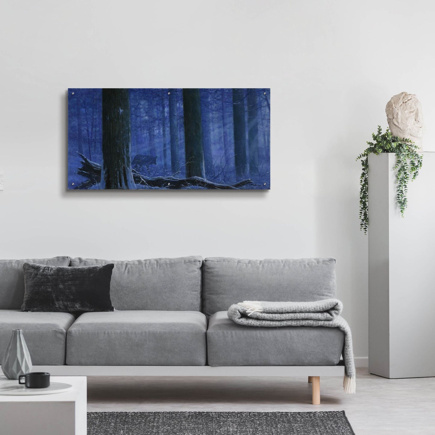 Epic Art 'Blue Wolf' by Bill Makinson, Acrylic Glass Wall Art,48x24