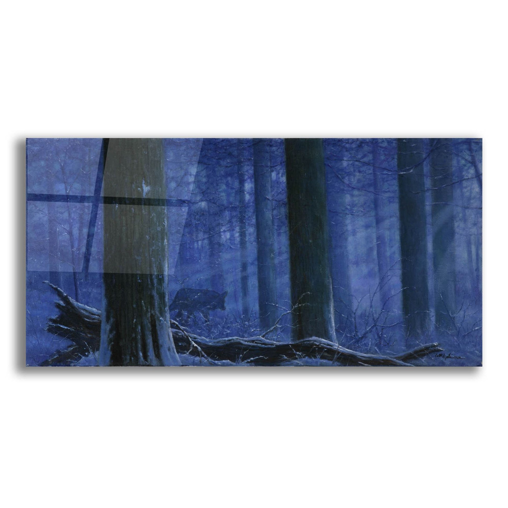 Epic Art 'Blue Wolf' by Bill Makinson, Acrylic Glass Wall Art