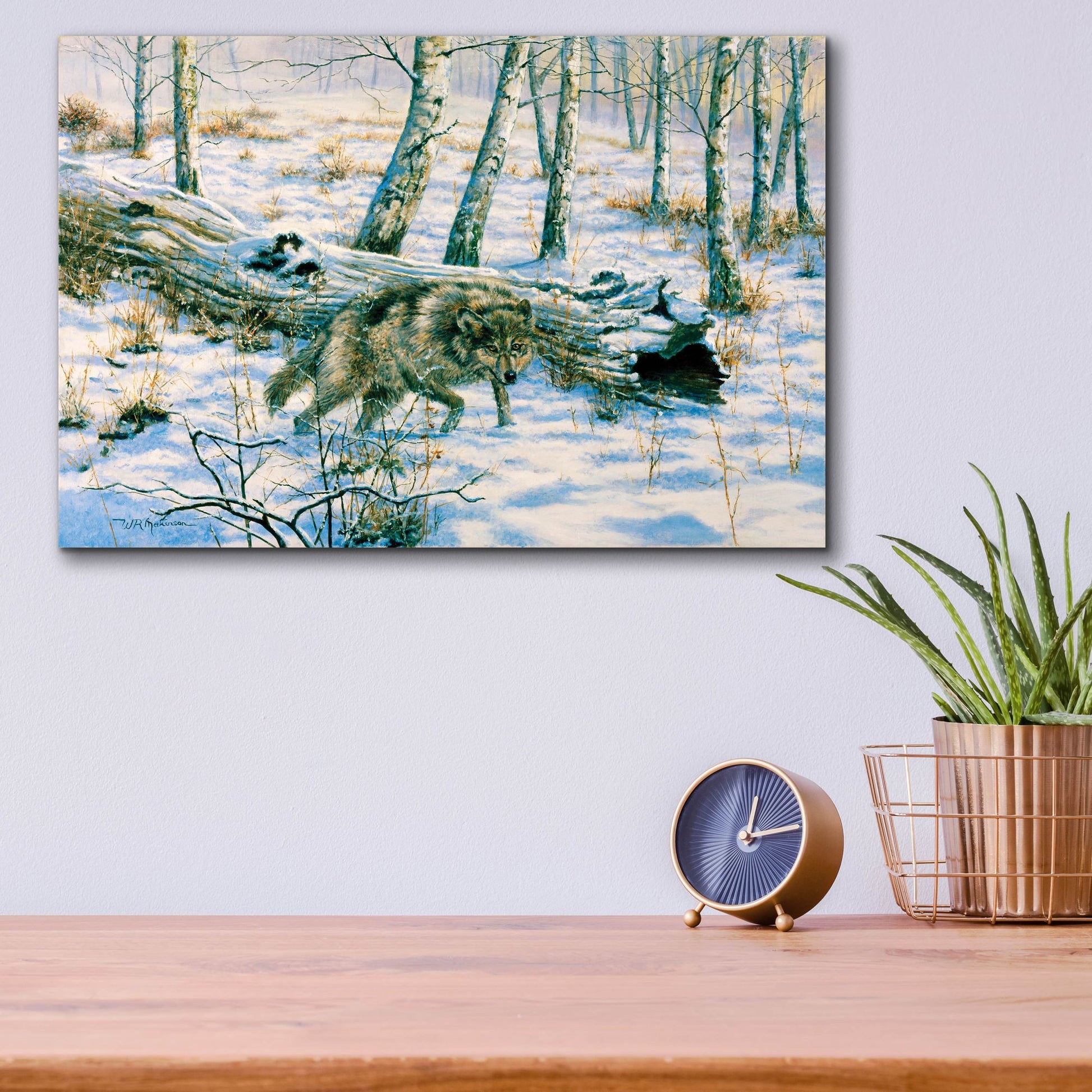 Epic Art 'Snow Wolf' by Bill Makinson, Acrylic Glass Wall Art,16x12