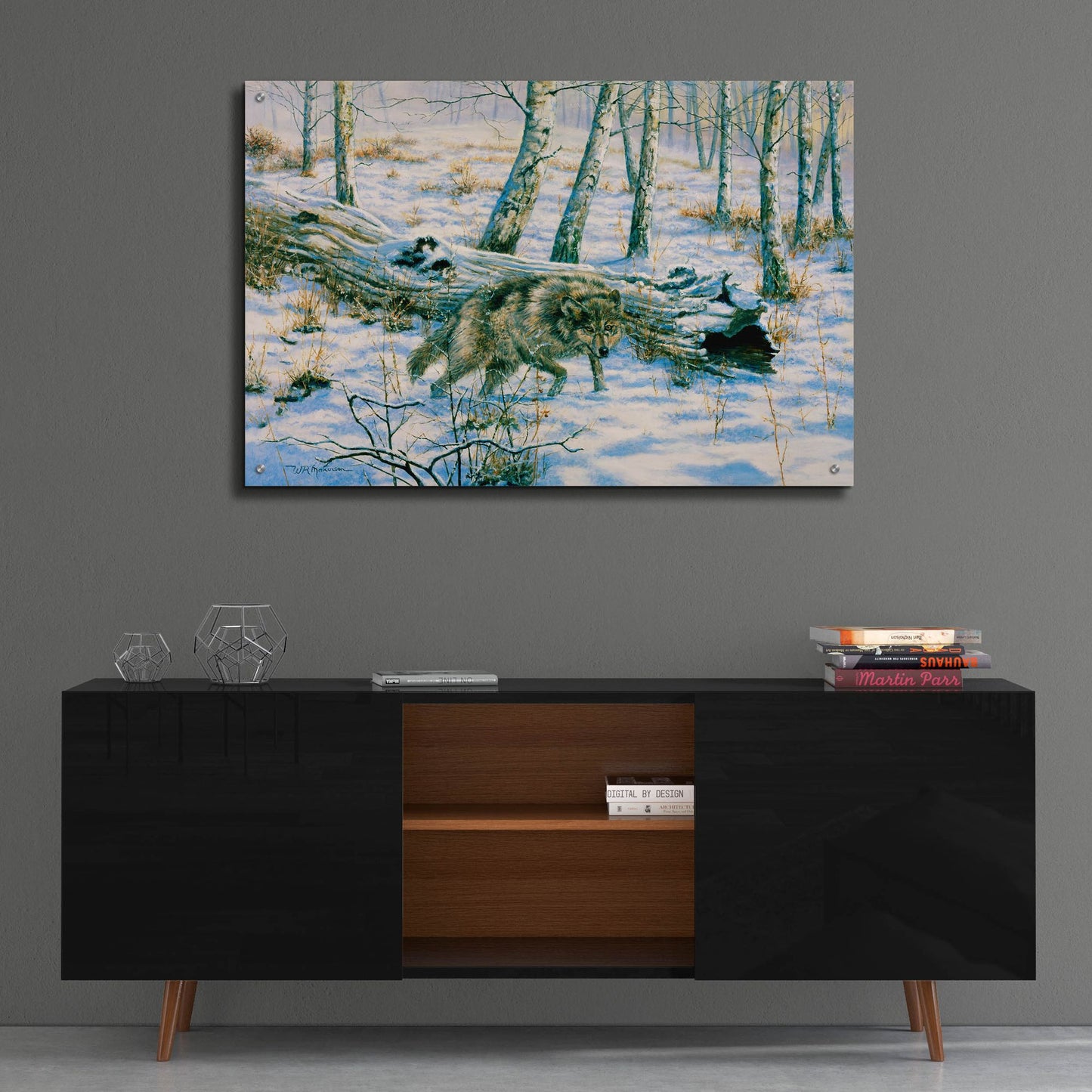 Epic Art 'Snow Wolf' by Bill Makinson, Acrylic Glass Wall Art,36x24