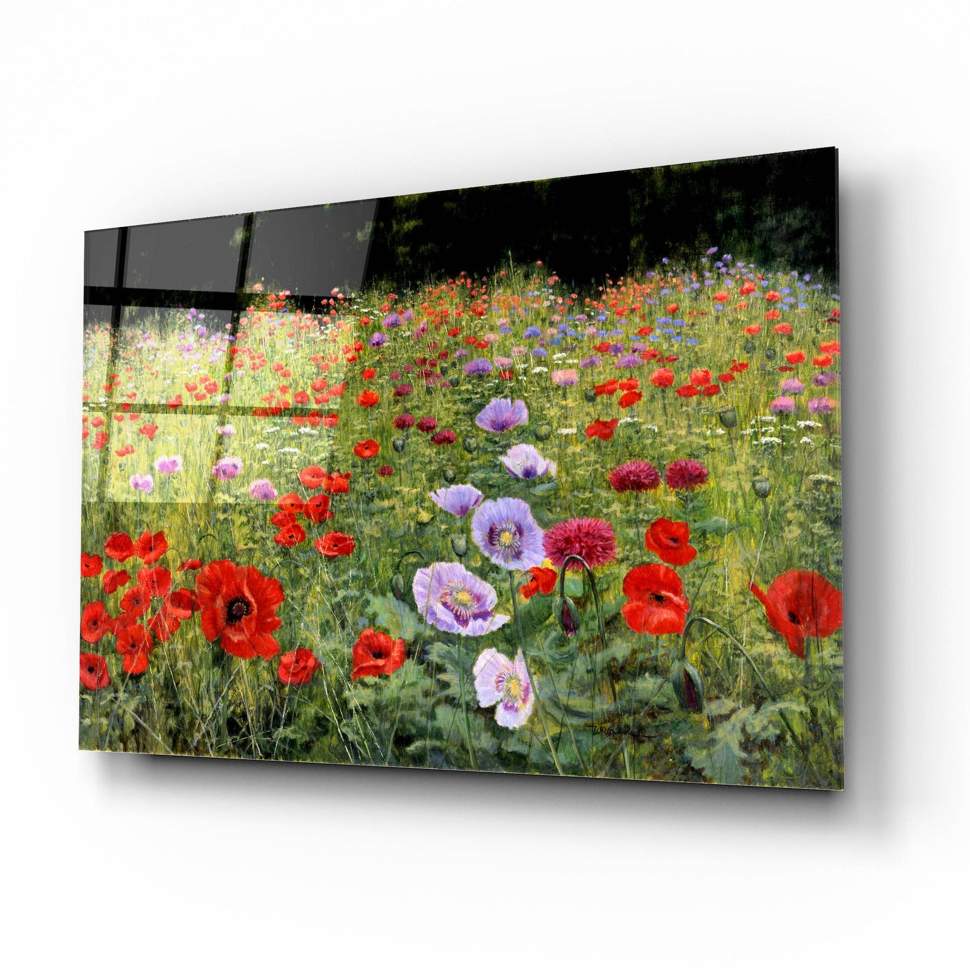 Epic Art 'Field Of Poppies' by Bill Makinson, Acrylic Glass Wall Art,16x12