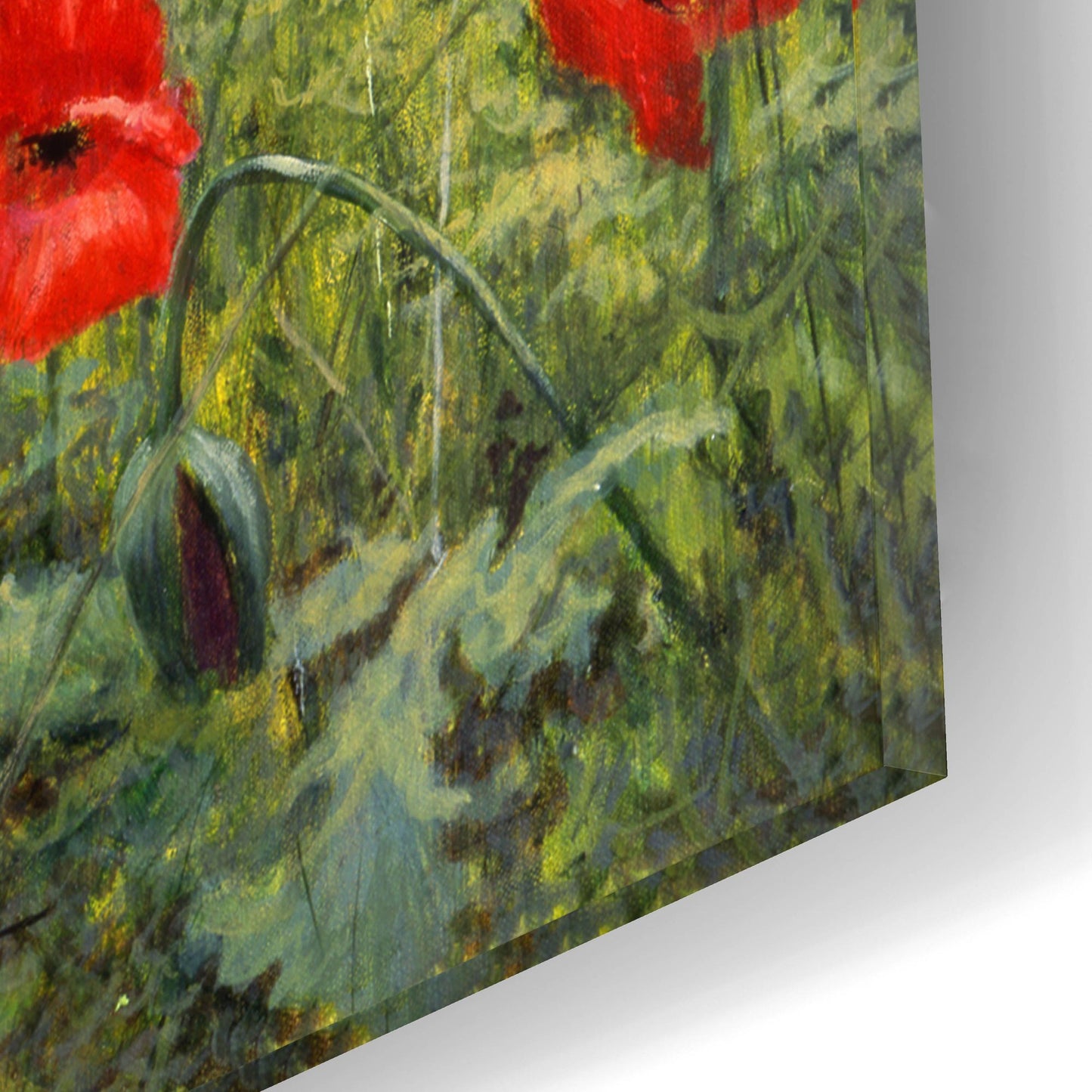 Epic Art 'Field Of Poppies' by Bill Makinson, Acrylic Glass Wall Art,16x12