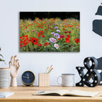 Field Of Poppies by Bill Makinson - 16x12 acrylic wall art in a room