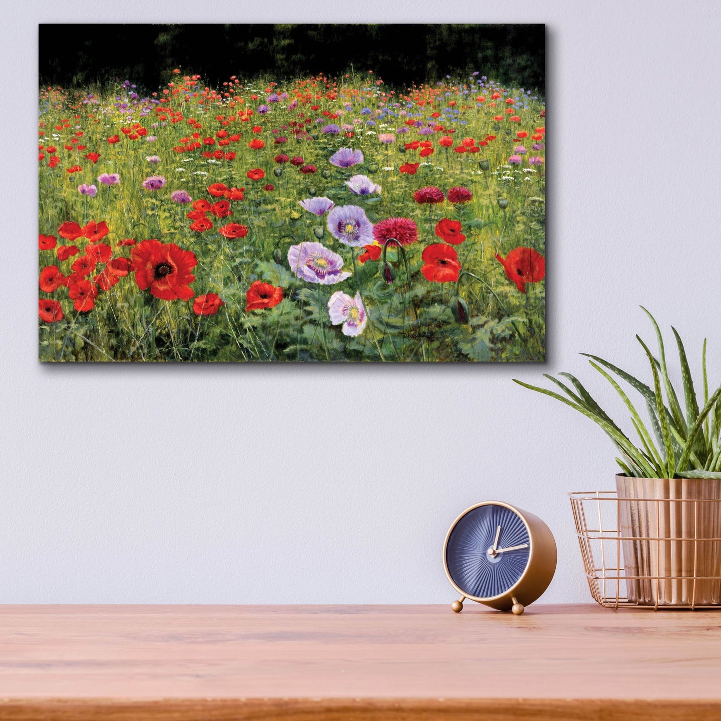 Epic Art 'Field Of Poppies' by Bill Makinson, Acrylic Glass Wall Art,16x12