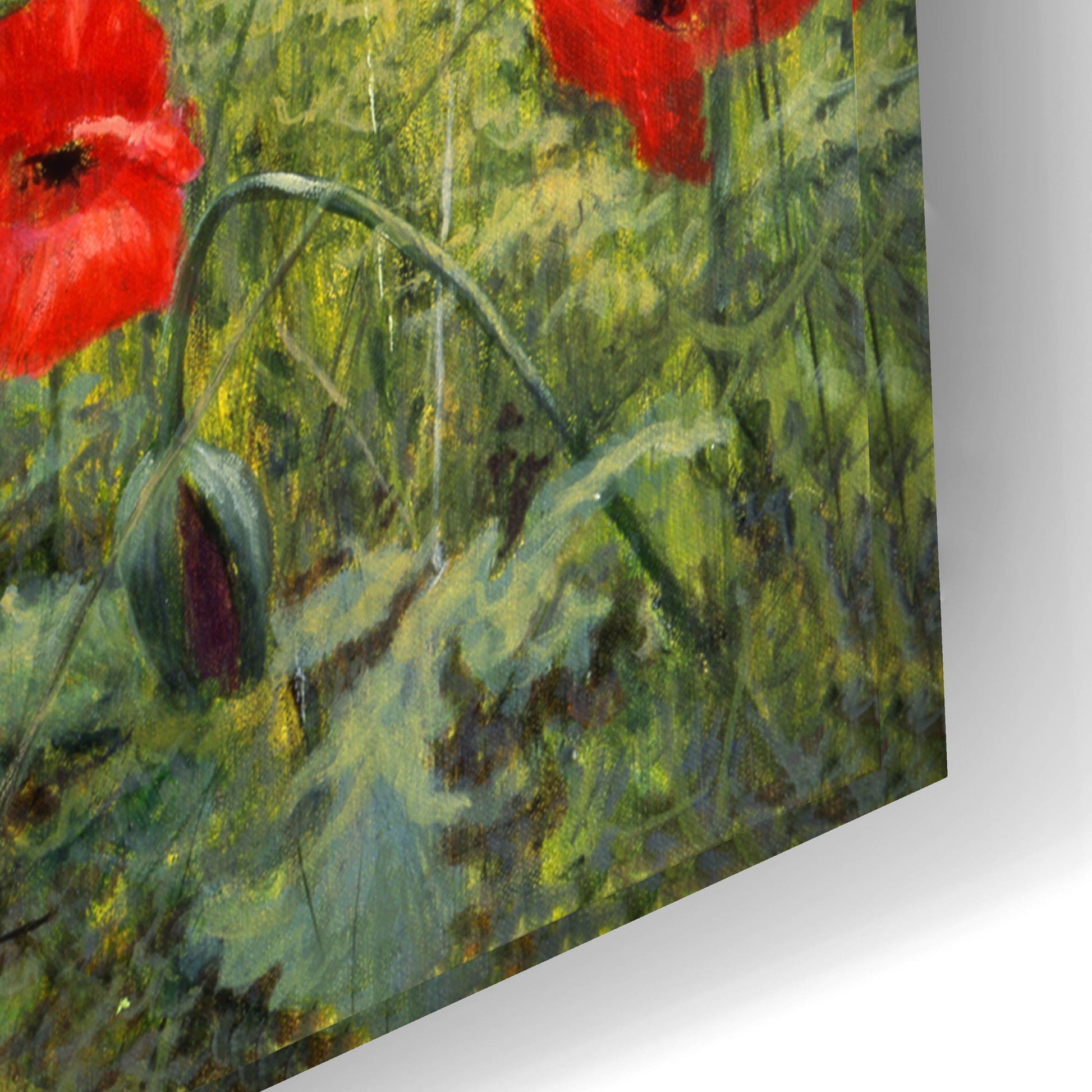 Epic Art 'Field Of Poppies' by Bill Makinson, Acrylic Glass Wall Art,24x16