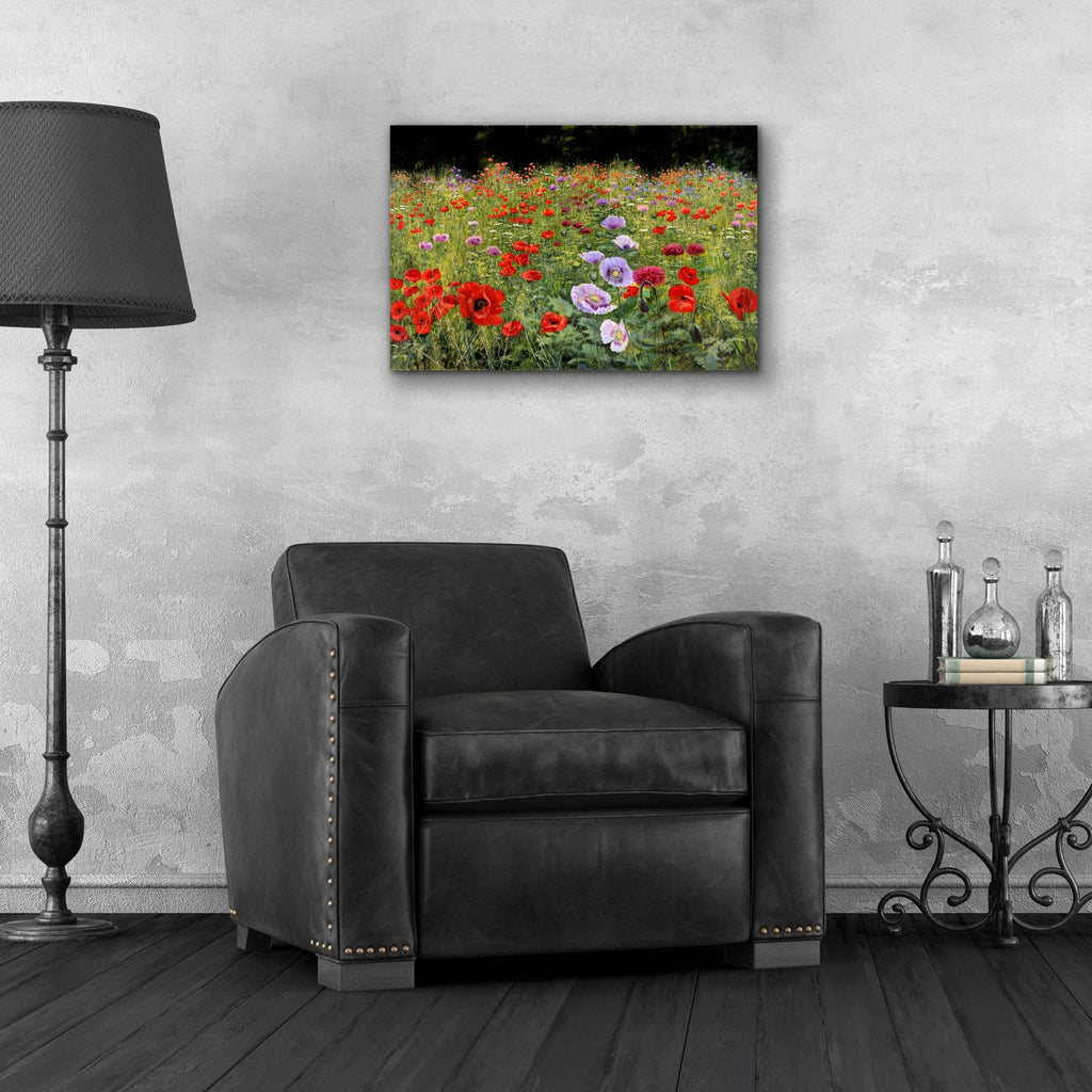 Field Of Poppies by Bill Makinson - 24x16 acrylic wall art in a room