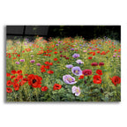 Field Of Poppies by Bill Makinson acrylic glass wall art