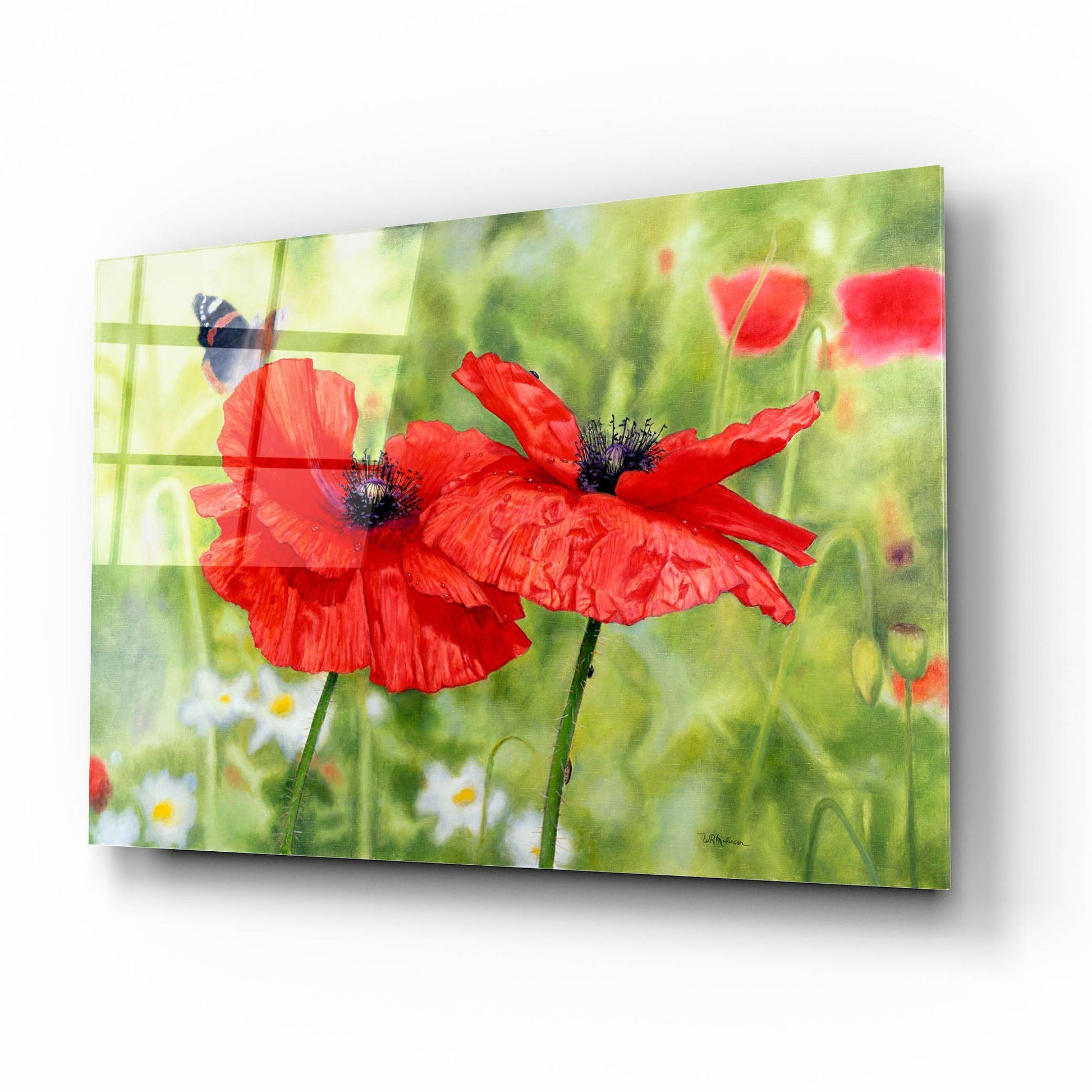 Epic Art 'Poppies And Butterfly' by Bill Makinson, Acrylic Glass Wall Art,16x12