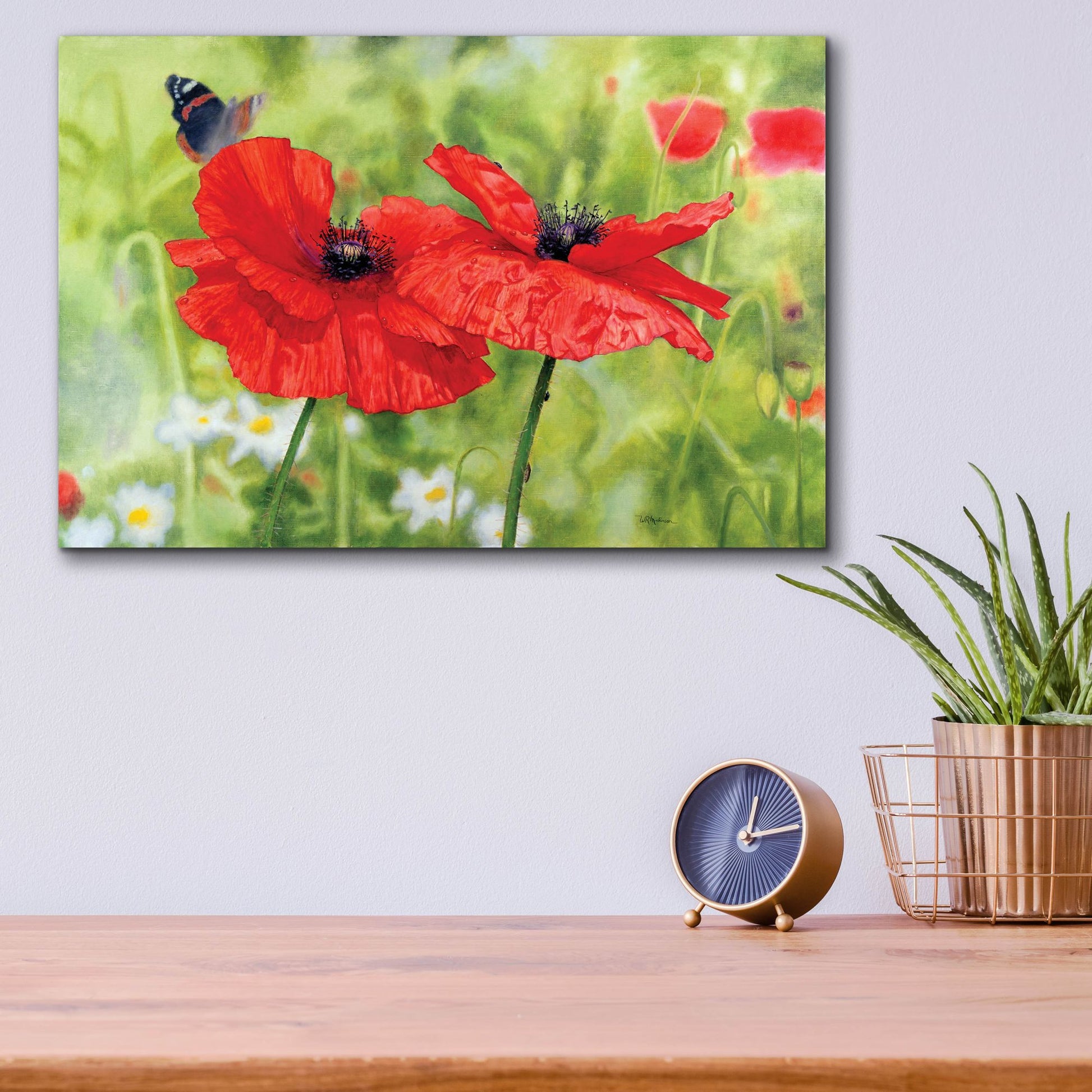 Epic Art 'Poppies And Butterfly' by Bill Makinson, Acrylic Glass Wall Art,16x12