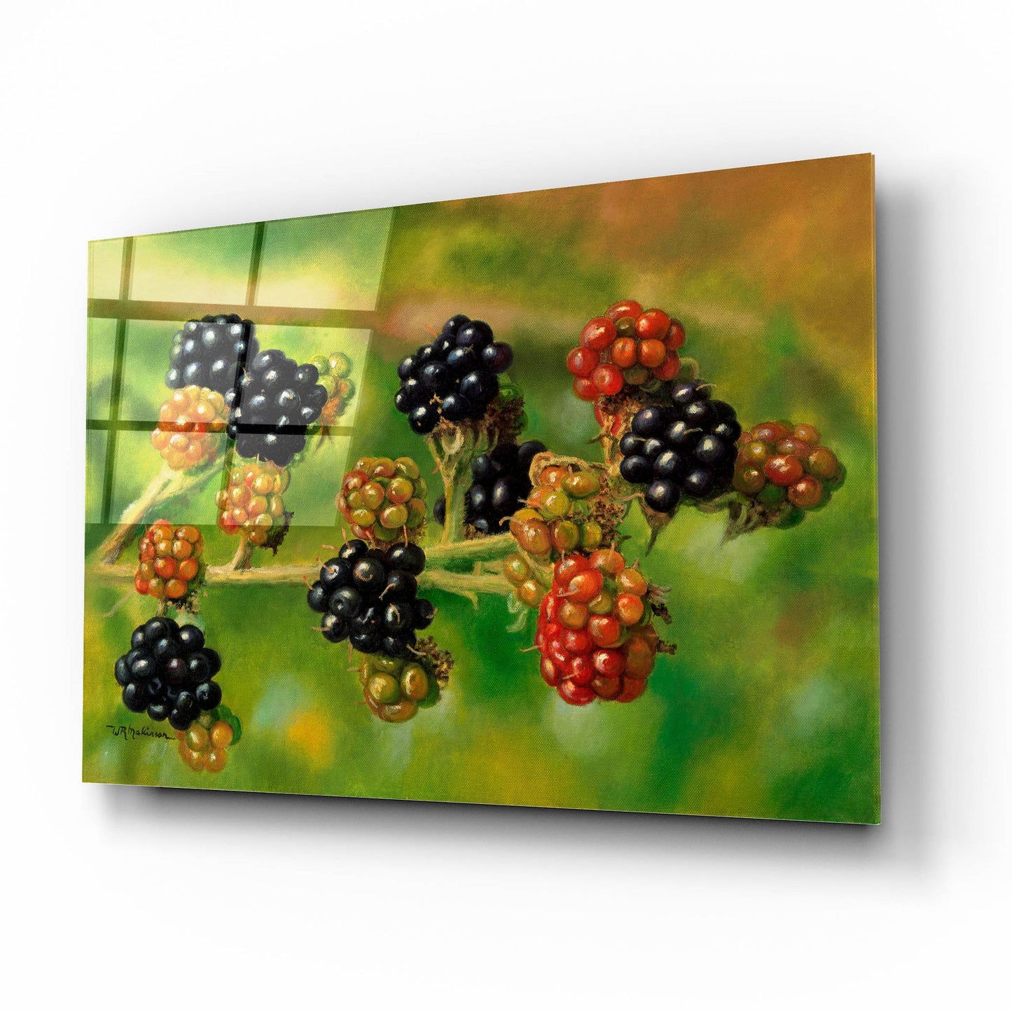 Epic Art 'Blackberries' by Bill Makinson, Acrylic Glass Wall Art,16x12