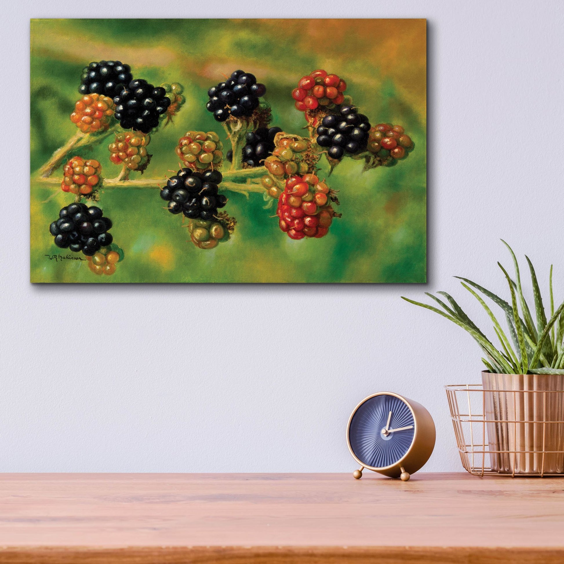 Epic Art 'Blackberries' by Bill Makinson, Acrylic Glass Wall Art,16x12