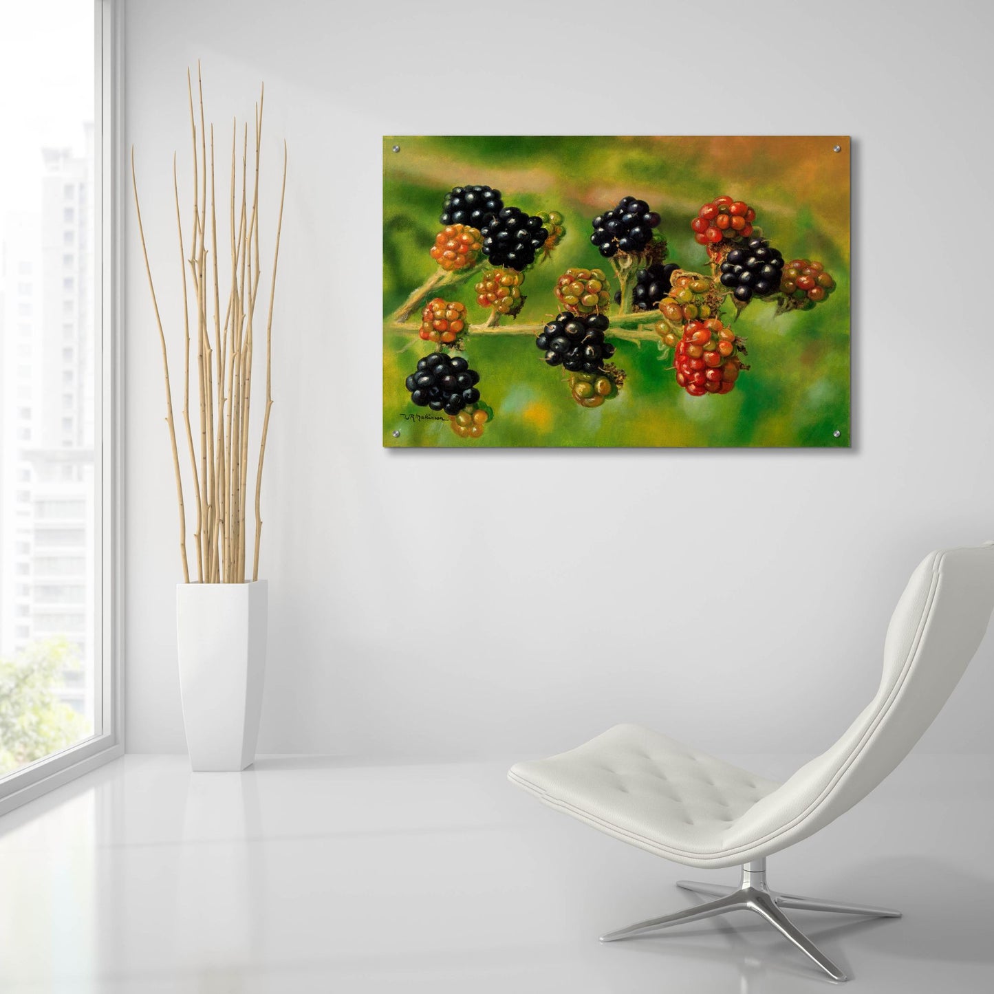 Epic Art 'Blackberries' by Bill Makinson, Acrylic Glass Wall Art,36x24