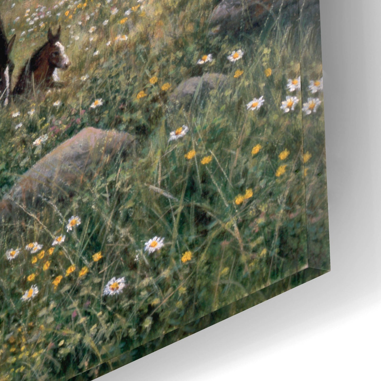 Epic Art 'Grazing' by Bill Makinson, Acrylic Glass Wall Art,16x12