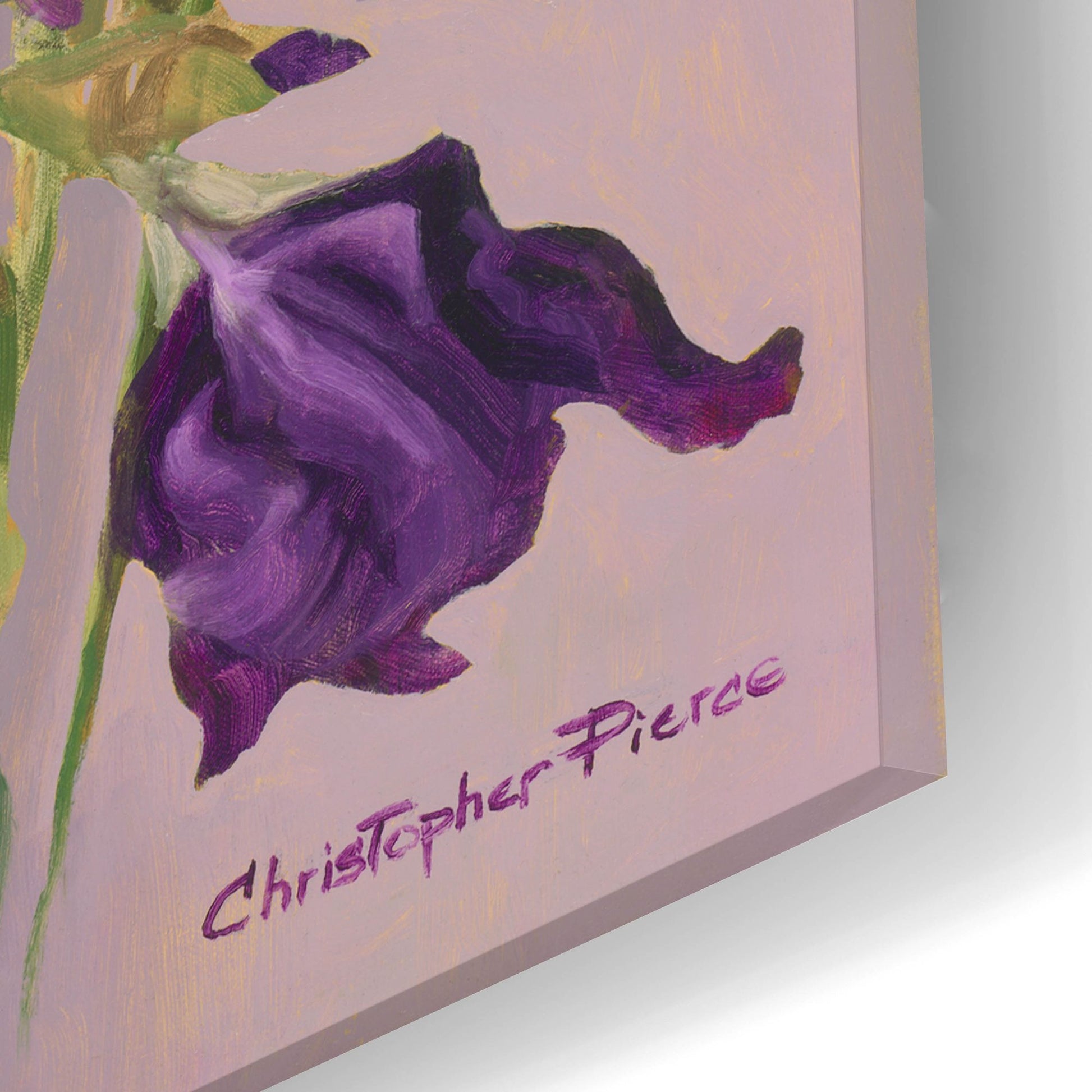 Epic Art 'Study In Lavender' by Christopher Pierce, Acrylic Glass Wall Art,12x24