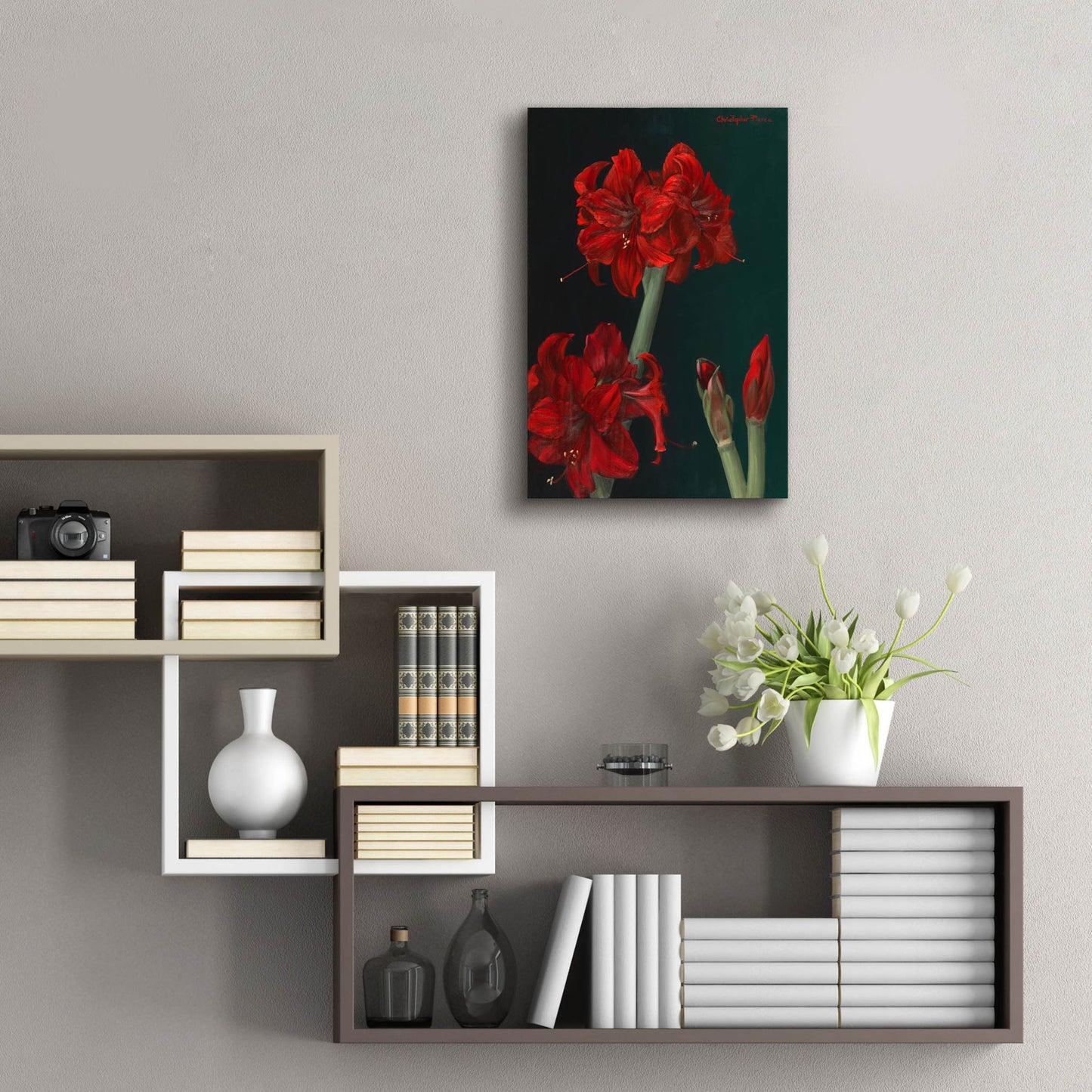 Epic Art 'Amaryllis Amigo' by Christopher Pierce, Acrylic Glass Wall Art,16x24