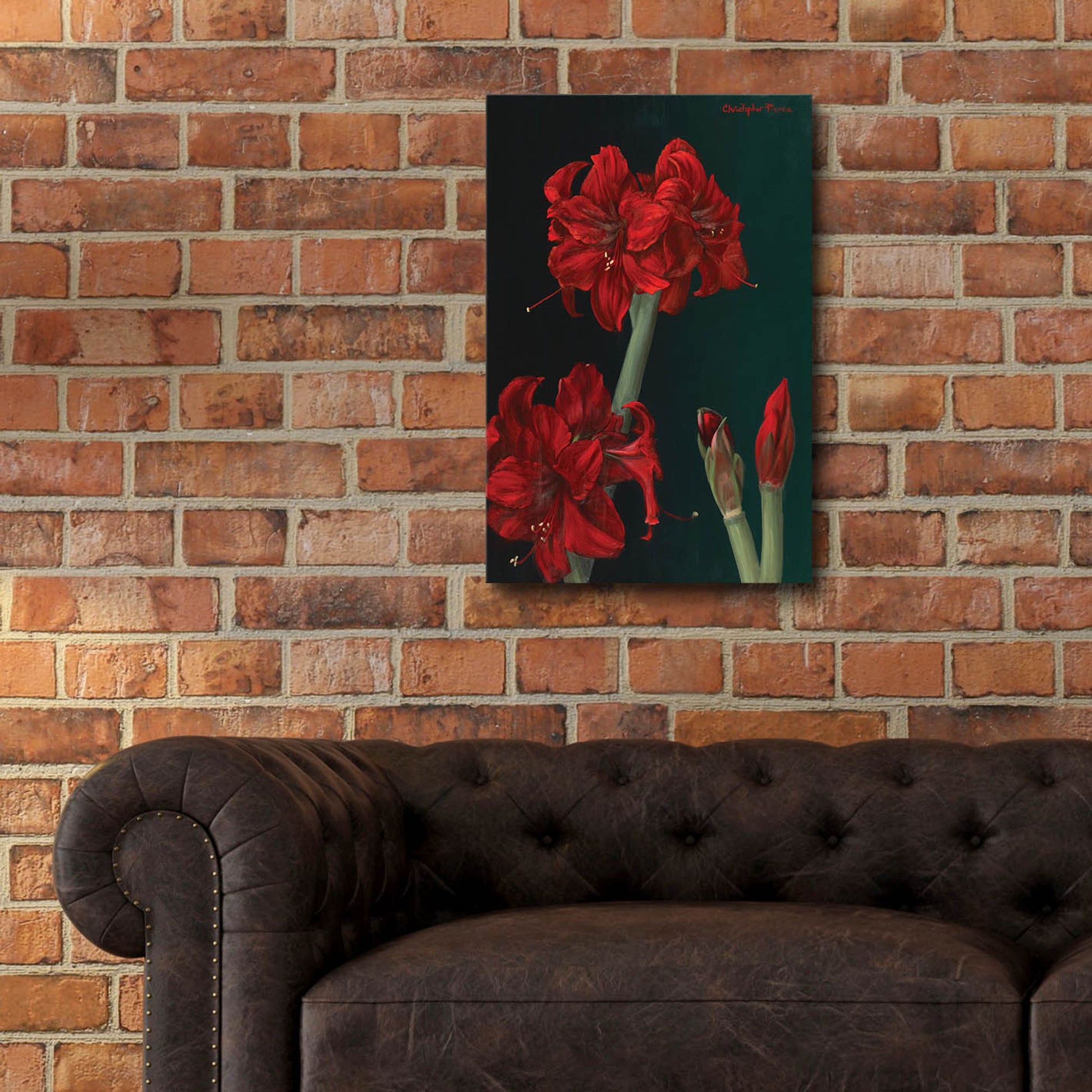 Epic Art 'Amaryllis Amigo' by Christopher Pierce, Acrylic Glass Wall Art,16x24