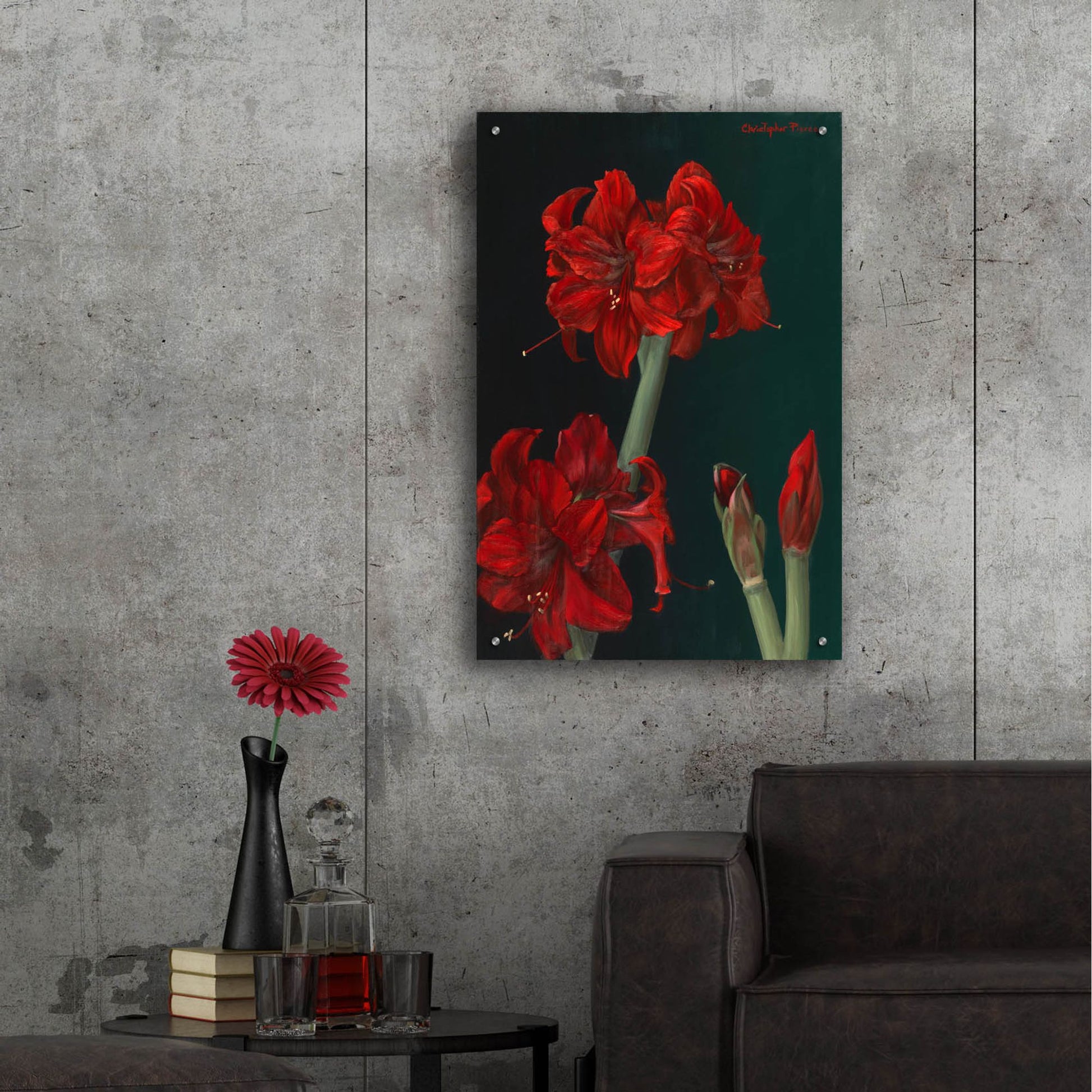 Epic Art 'Amaryllis Amigo' by Christopher Pierce, Acrylic Glass Wall Art,24x36