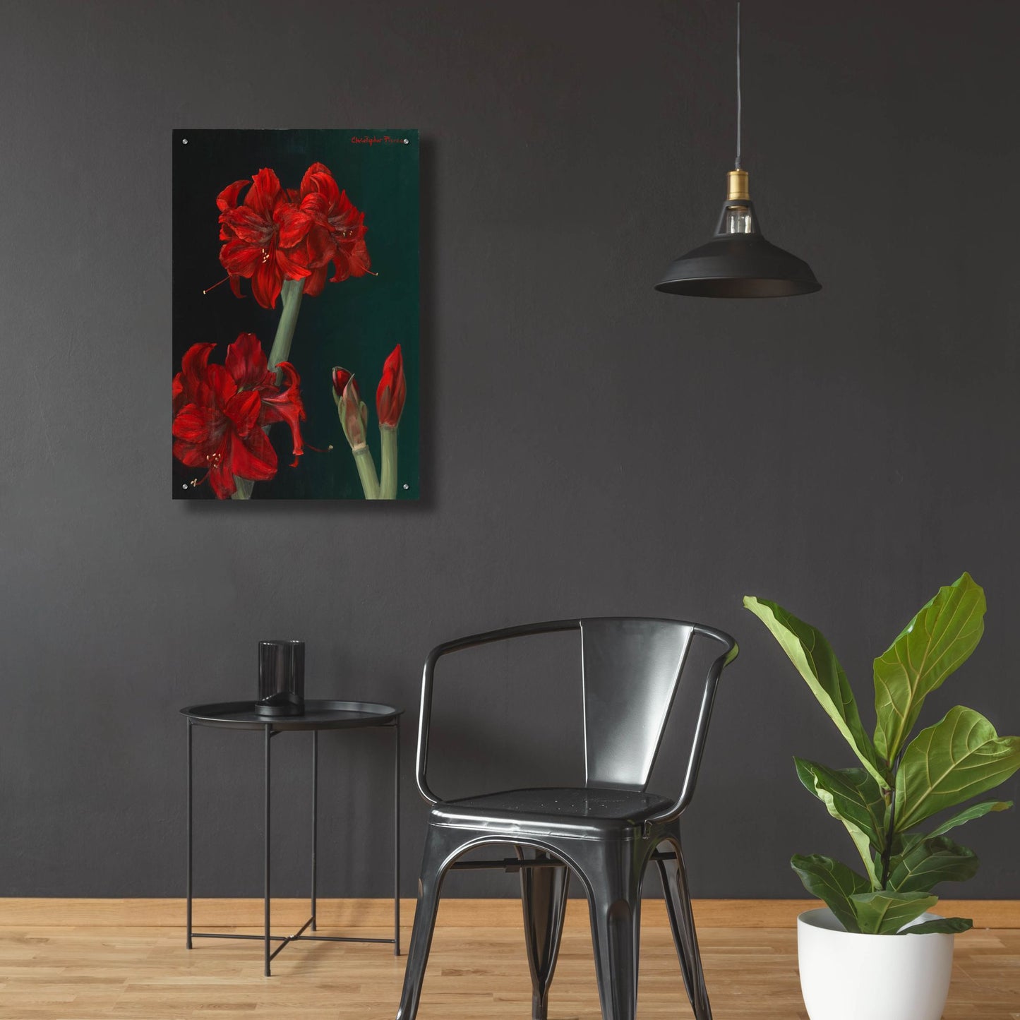 Epic Art 'Amaryllis Amigo' by Christopher Pierce, Acrylic Glass Wall Art,24x36