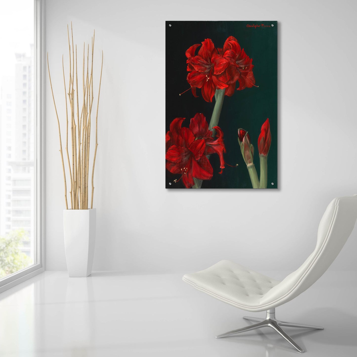 Epic Art 'Amaryllis Amigo' by Christopher Pierce, Acrylic Glass Wall Art,24x36