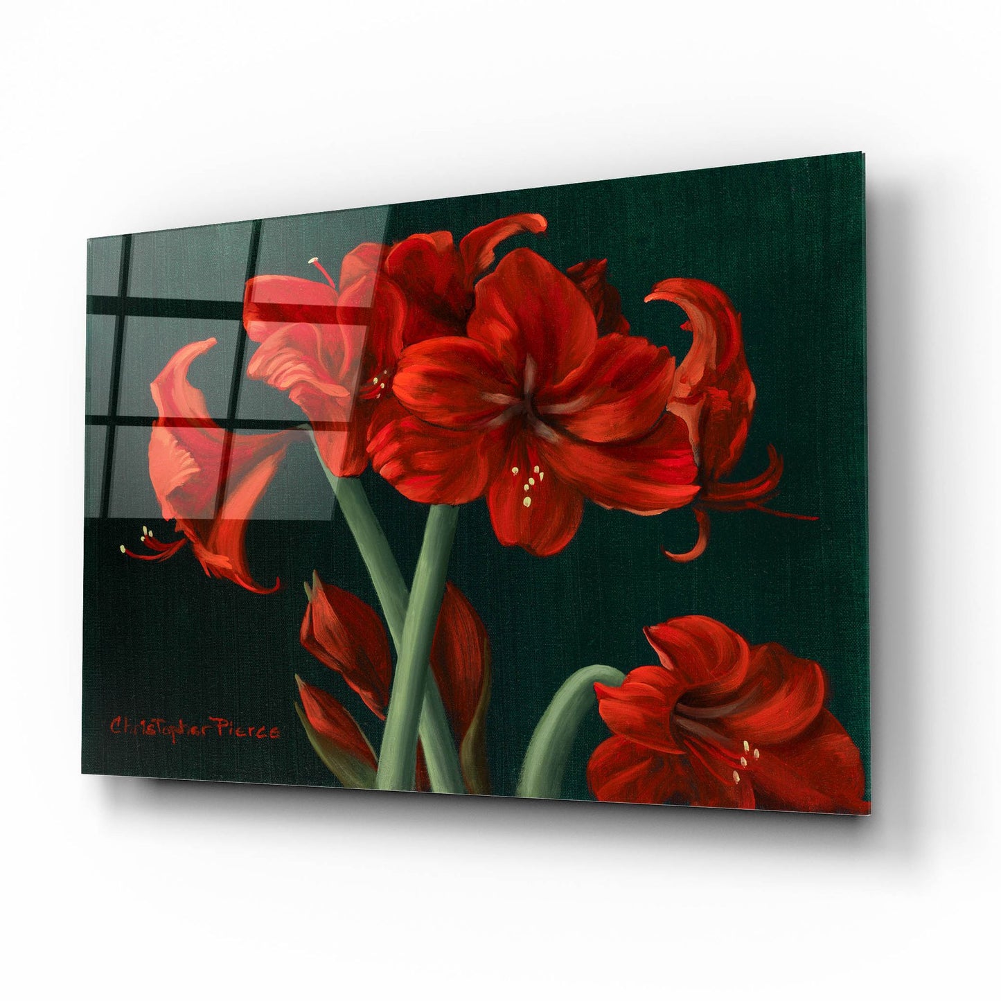 Epic Art 'Crimson Beauties' by Christopher Pierce, Acrylic Glass Wall Art,16x12