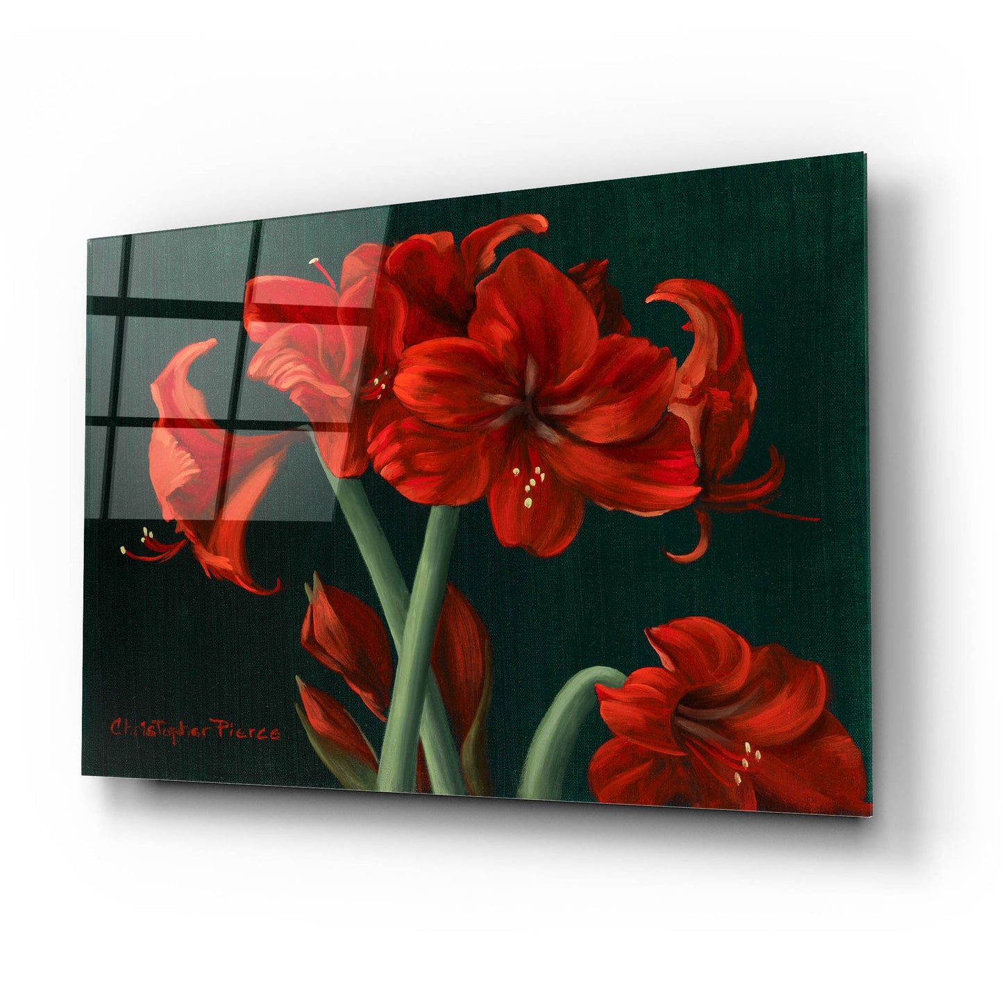 Epic Art 'Crimson Beauties' by Christopher Pierce, Acrylic Glass Wall Art,24x16