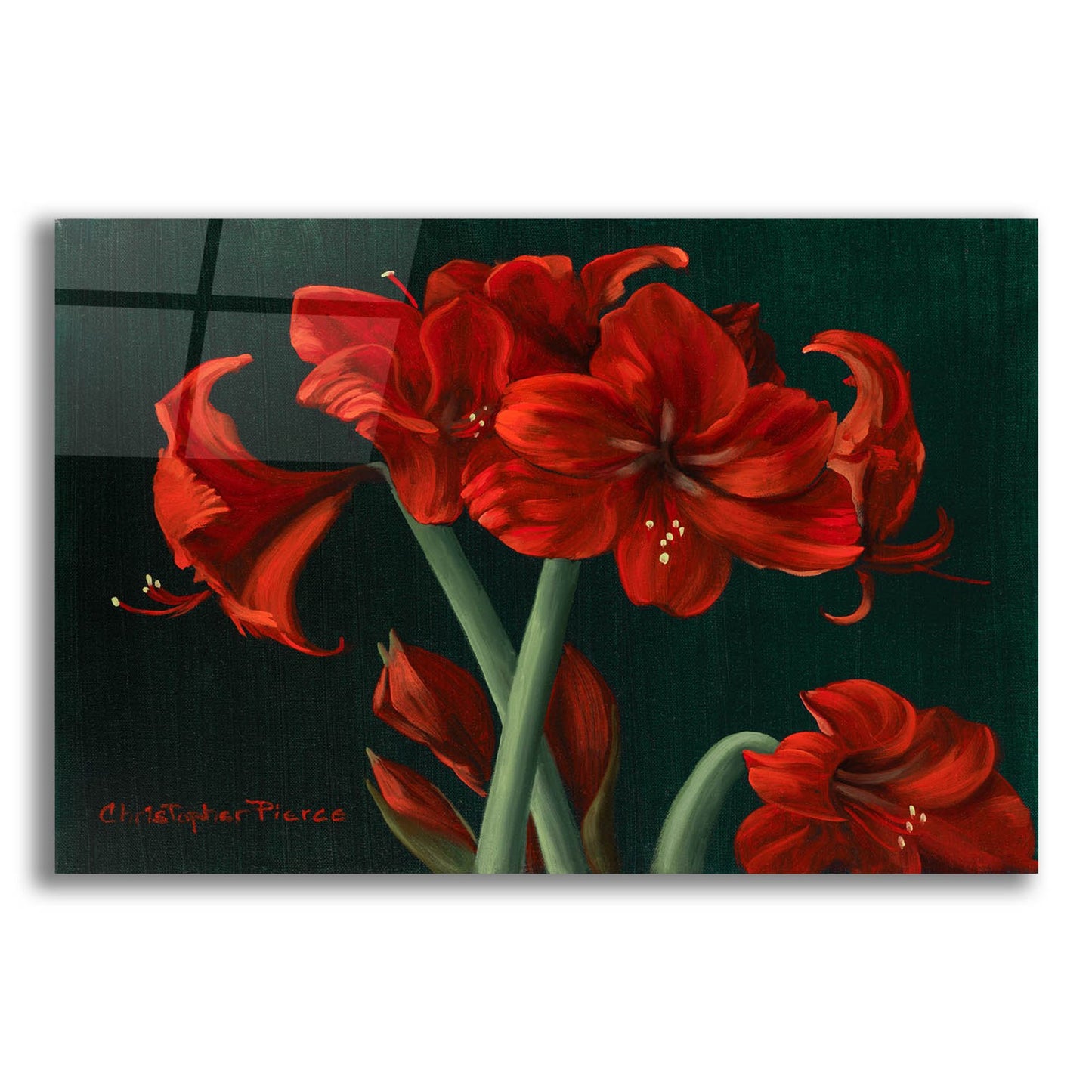 Epic Art 'Crimson Beauties' by Christopher Pierce, Acrylic Glass Wall Art,24x16