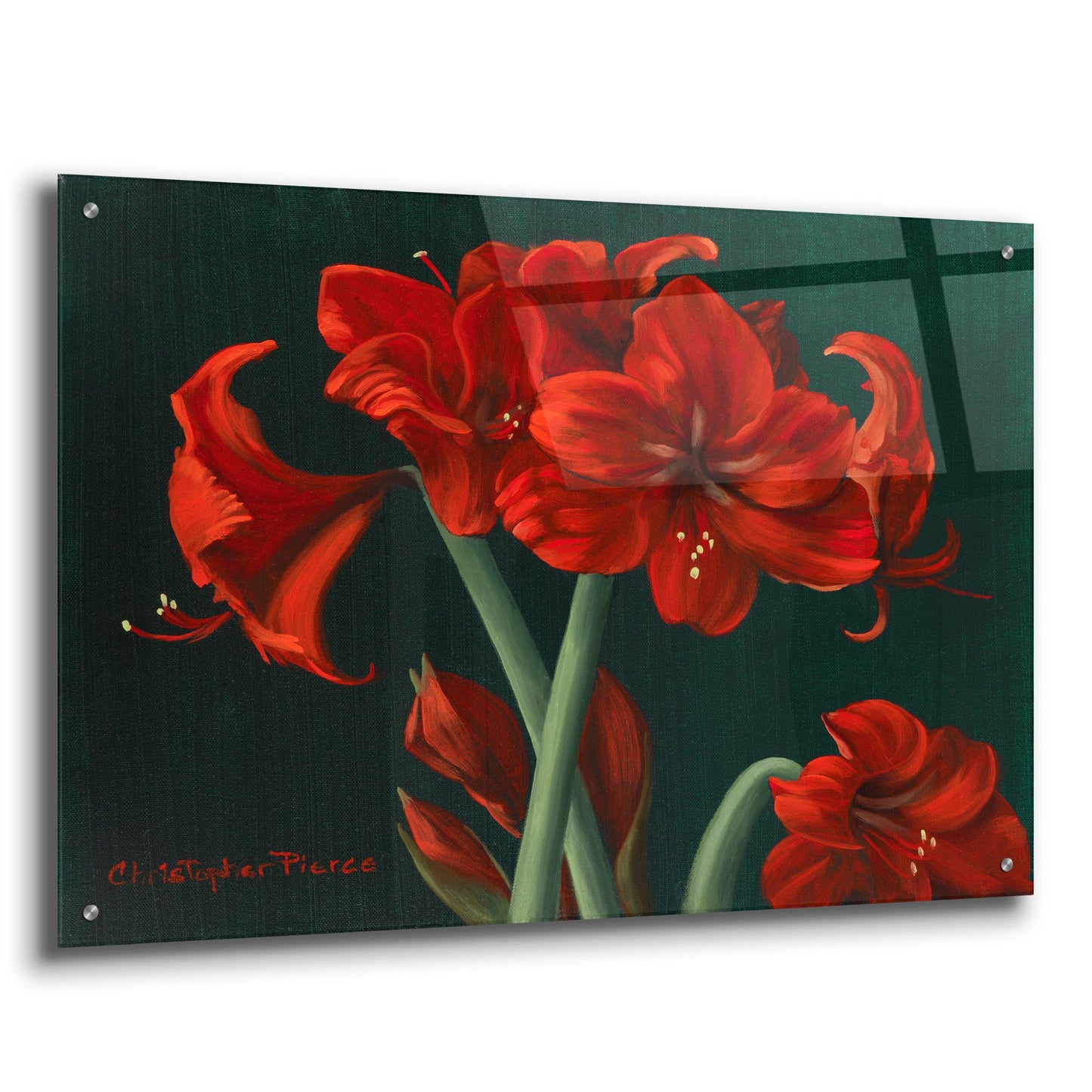 Epic Art 'Crimson Beauties' by Christopher Pierce, Acrylic Glass Wall Art,36x24