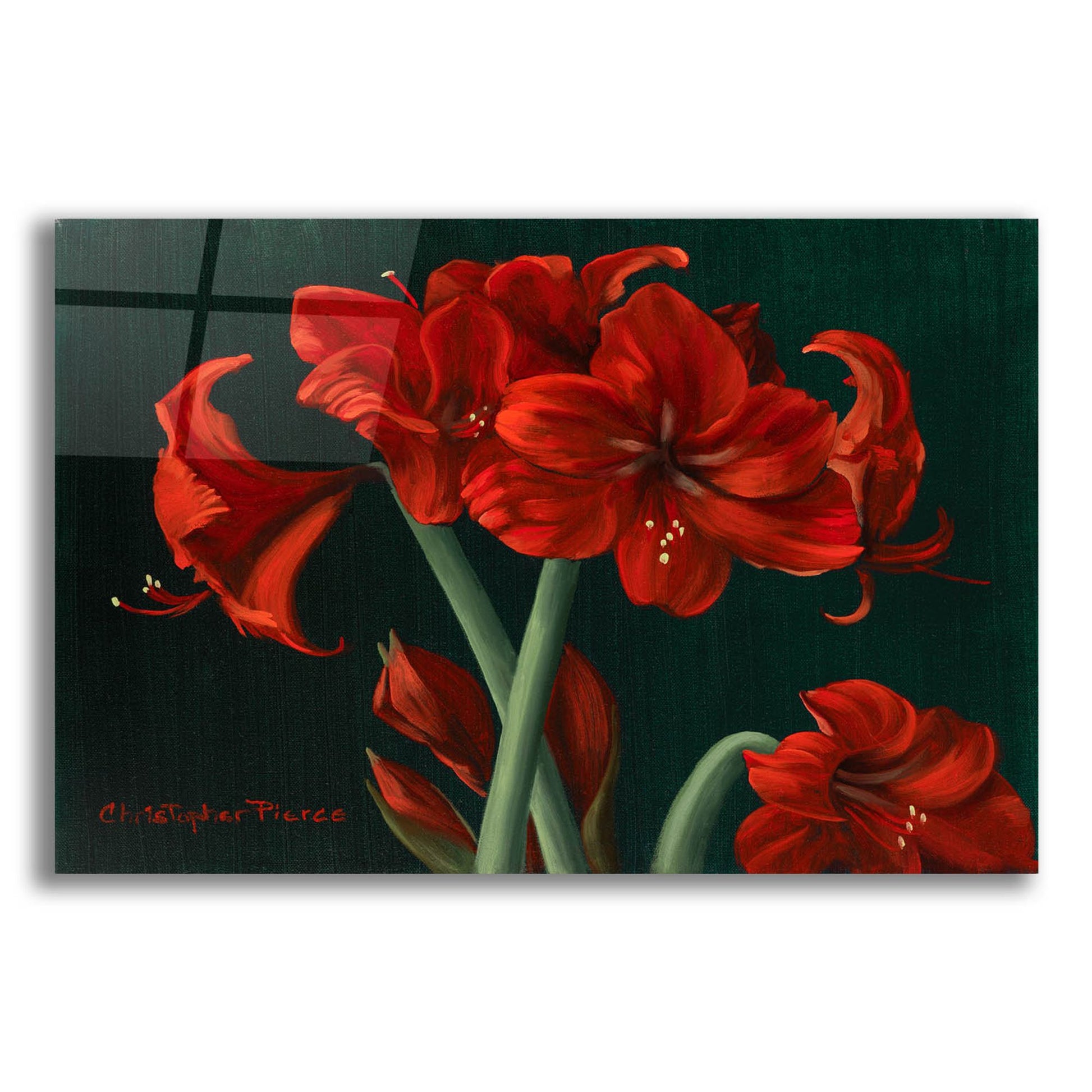 Epic Art 'Crimson Beauties' by Christopher Pierce, Acrylic Glass Wall Art