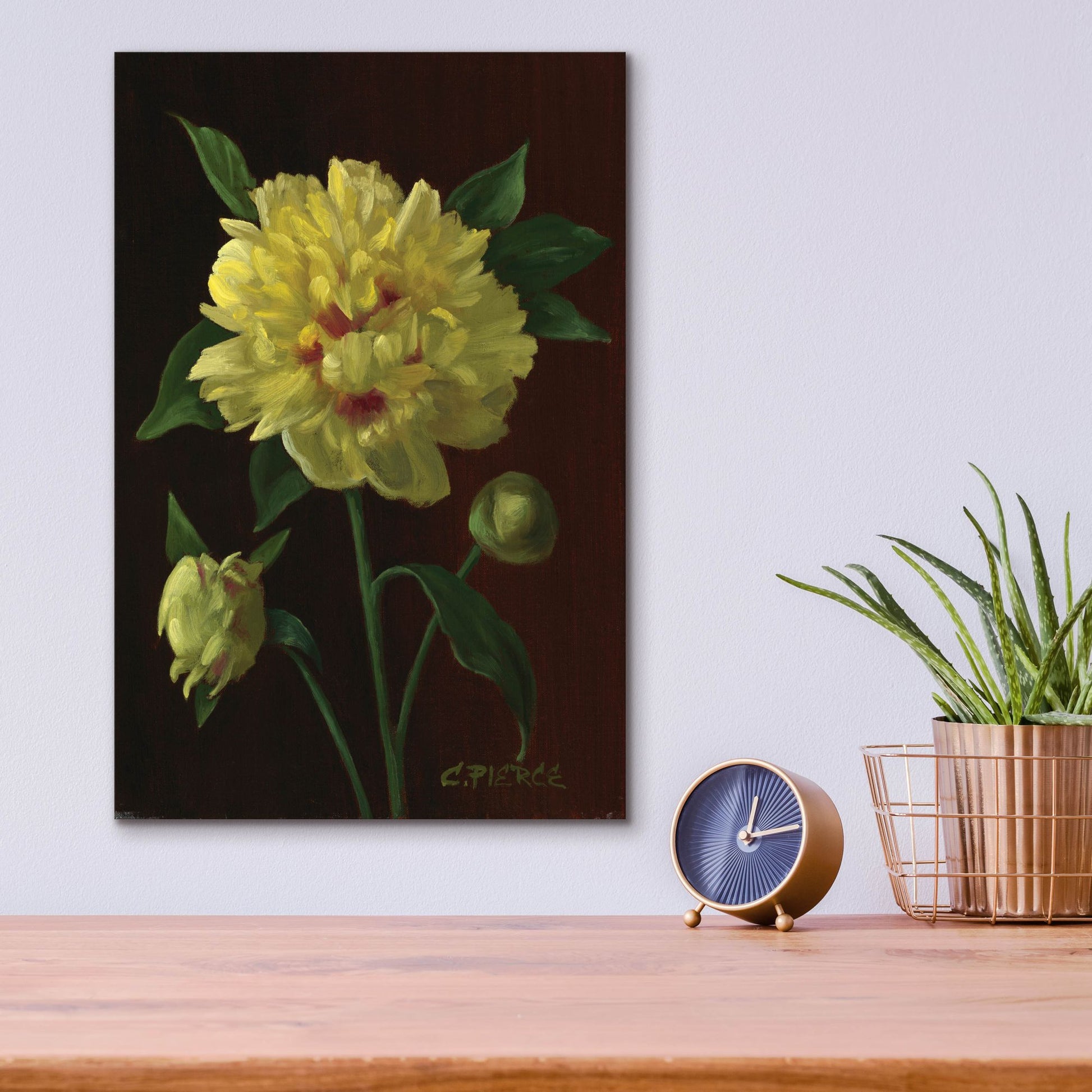 Epic Art 'Yellow Peony' by Christopher Pierce, Acrylic Glass Wall Art,12x16