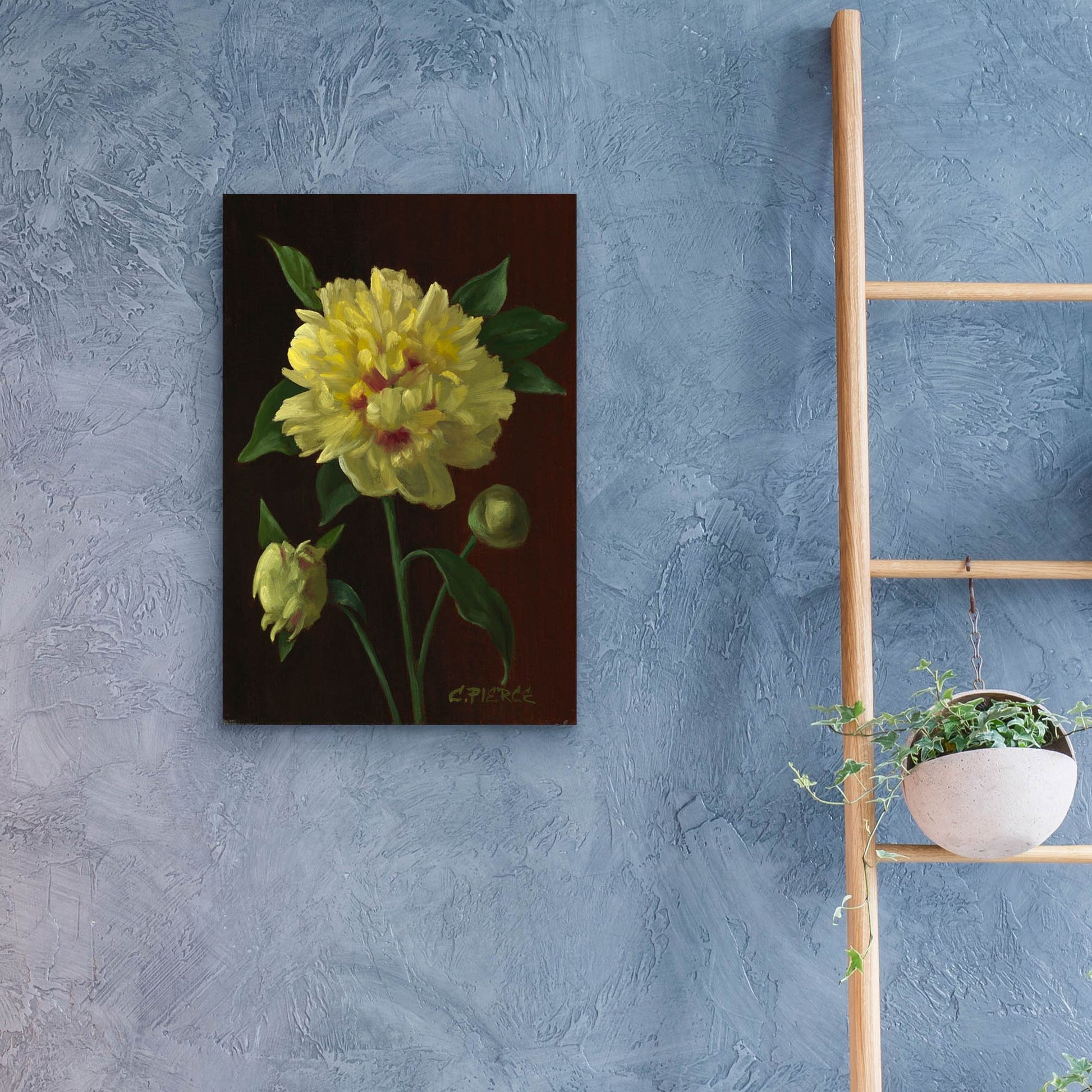 Epic Art 'Yellow Peony' by Christopher Pierce, Acrylic Glass Wall Art,16x24