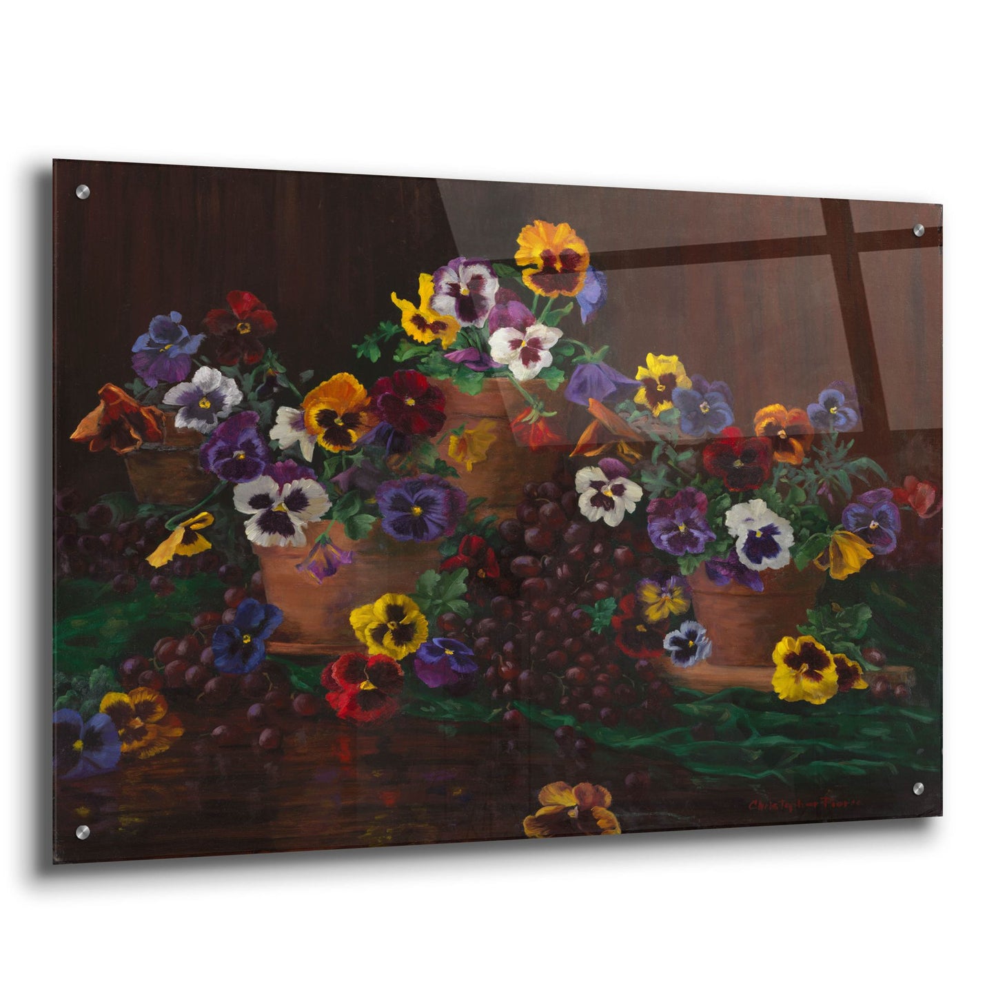 Epic Art 'Pansies In Terracotta' by Christopher Pierce, Acrylic Glass Wall Art,36x24