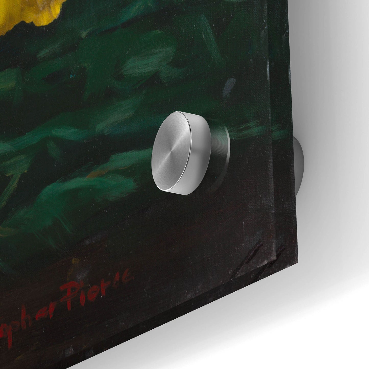 Epic Art 'Pansies In Terracotta' by Christopher Pierce, Acrylic Glass Wall Art,36x24