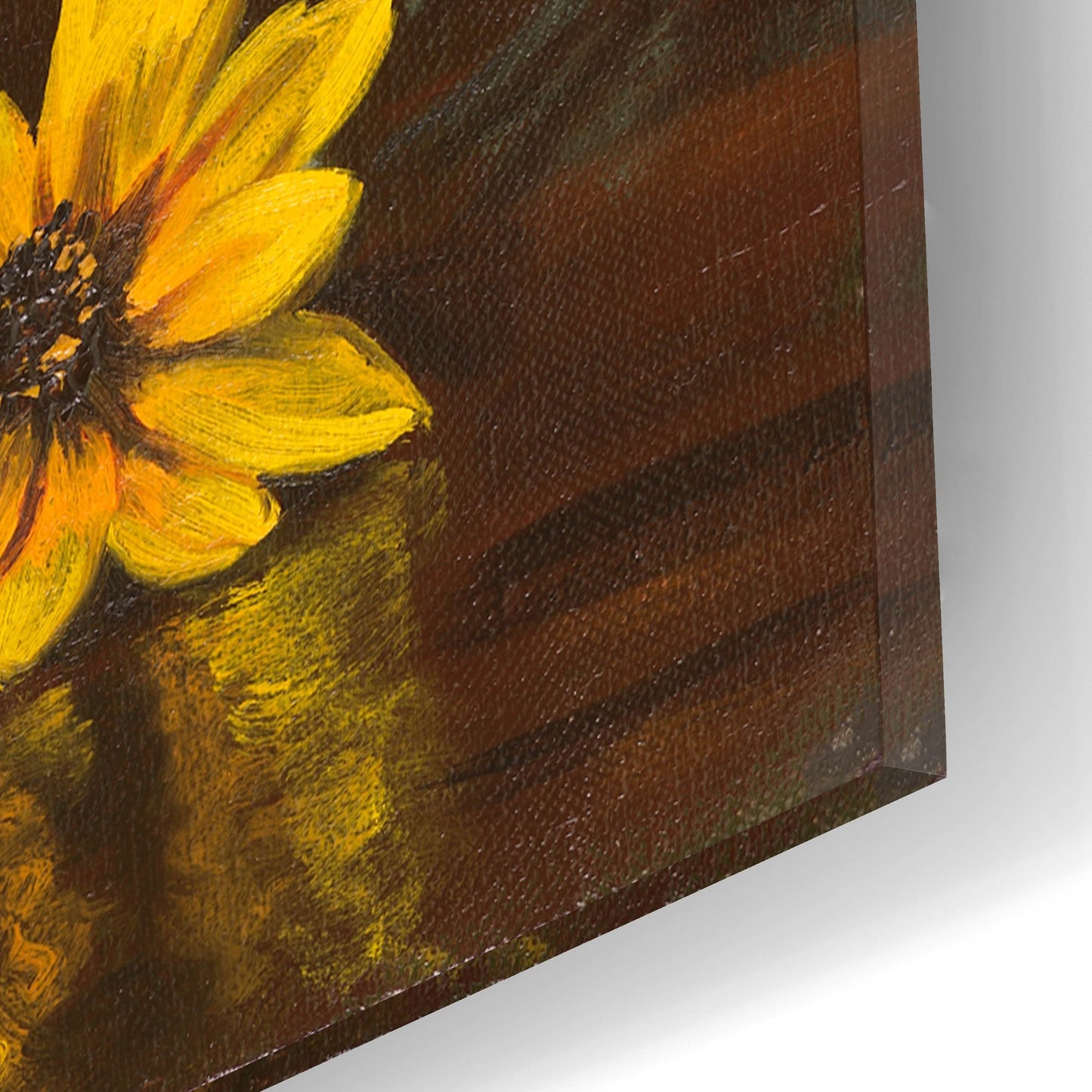 Epic Art 'Black Eyed Susans' by Christopher Pierce, Acrylic Glass Wall Art,12x16