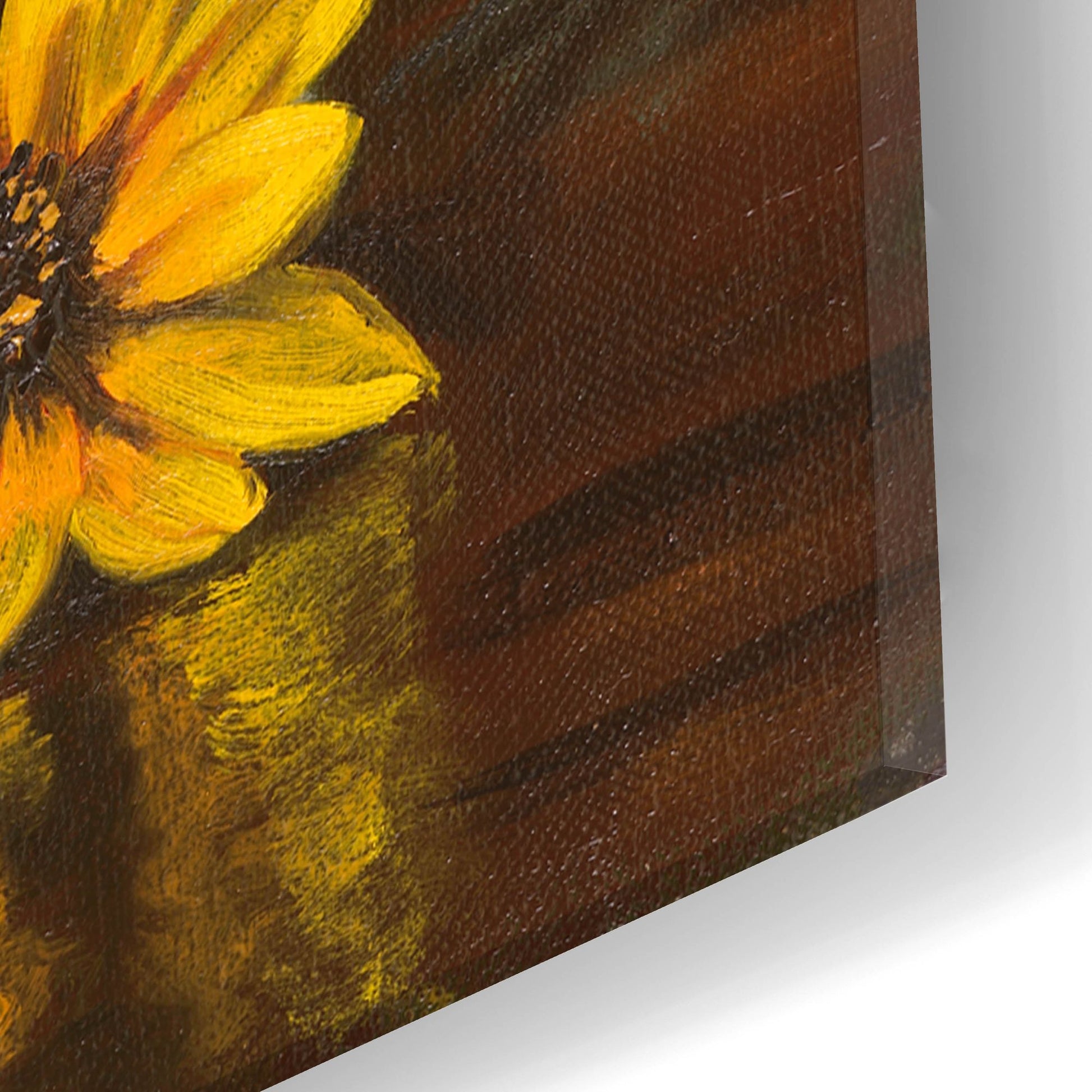 Epic Art 'Black Eyed Susans' by Christopher Pierce, Acrylic Glass Wall Art,16x24