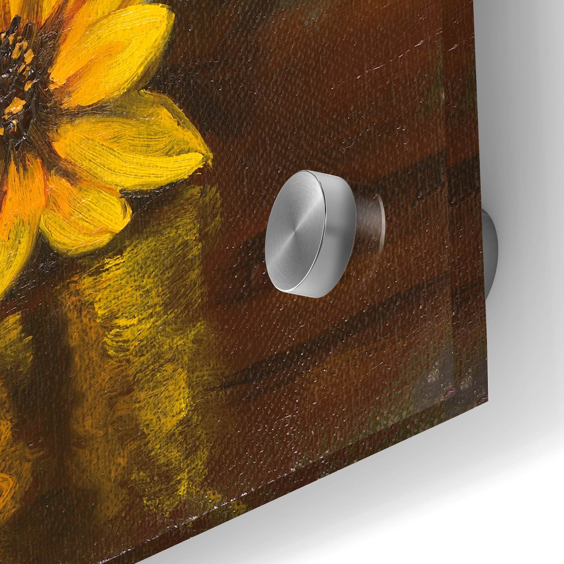 Epic Art 'Black Eyed Susans' by Christopher Pierce, Acrylic Glass Wall Art,24x36