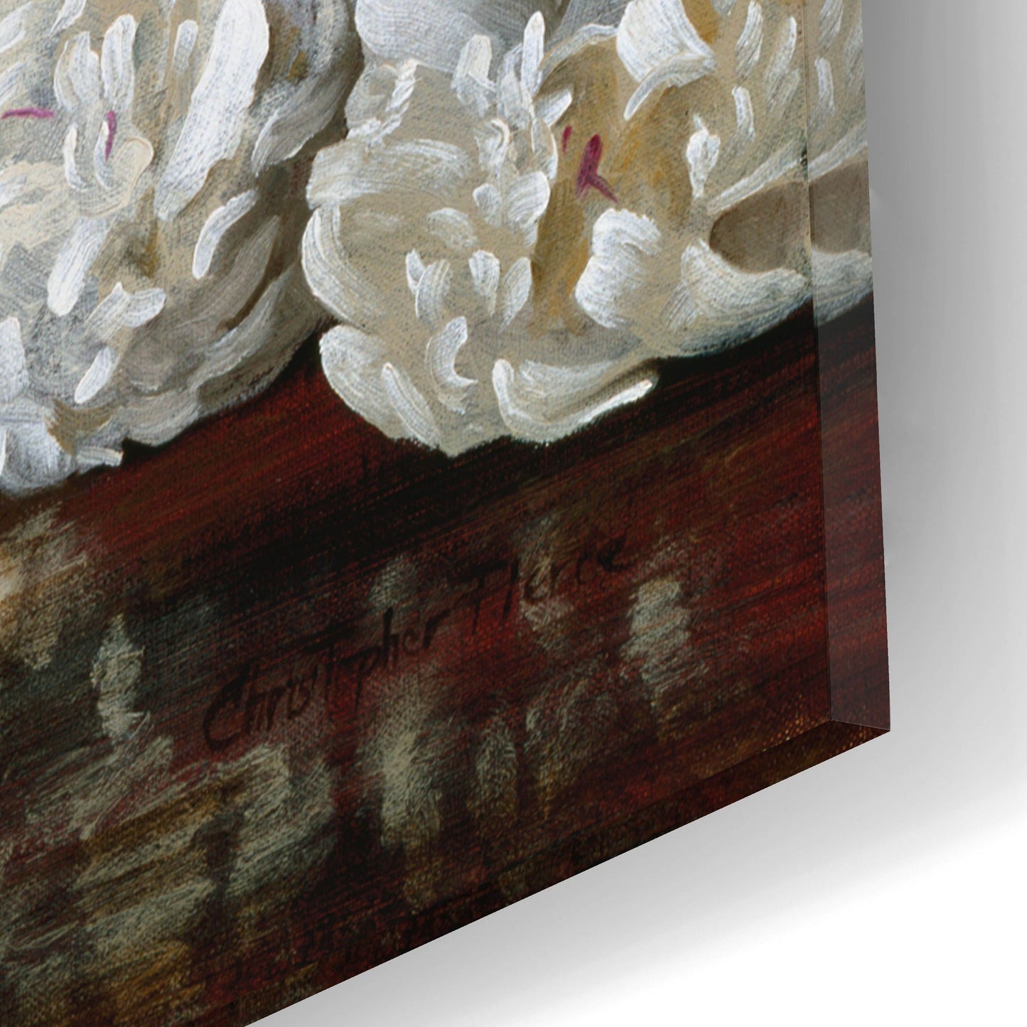 Epic Art 'White Peonies In Blue Chinese Vase' by Christopher Pierce, Acrylic Glass Wall Art,12x16