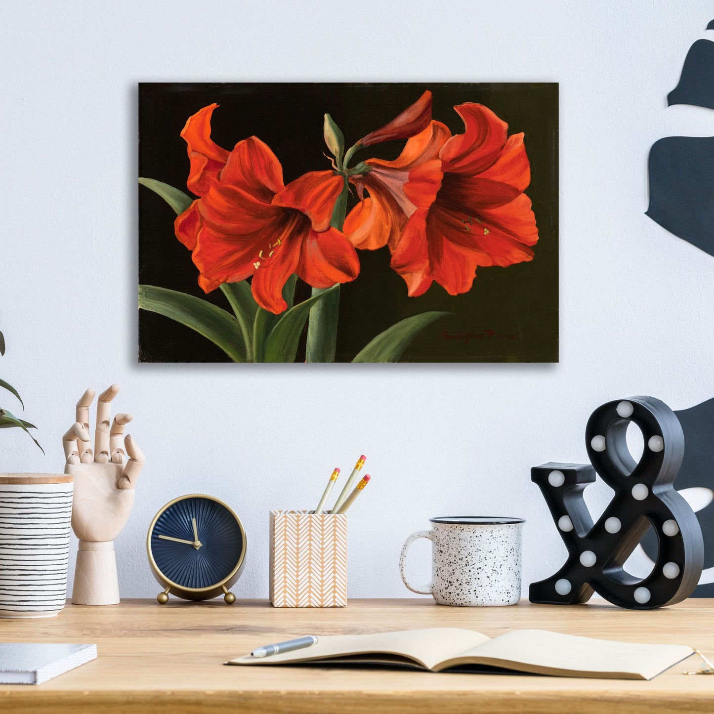 Epic Art 'Amaryllis' by Christopher Pierce, Acrylic Glass Wall Art,16x12