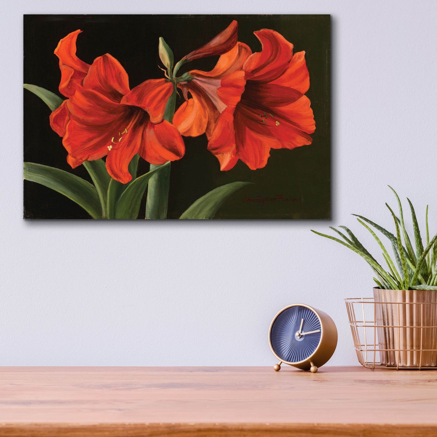 Epic Art 'Amaryllis' by Christopher Pierce, Acrylic Glass Wall Art,16x12