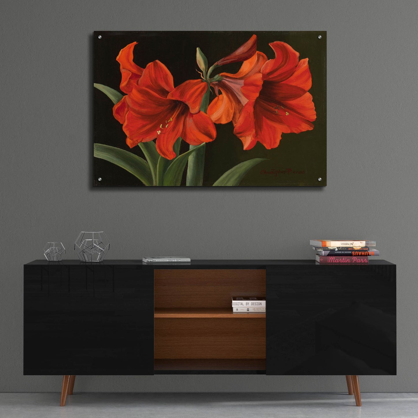 Epic Art 'Amaryllis' by Christopher Pierce, Acrylic Glass Wall Art,36x24