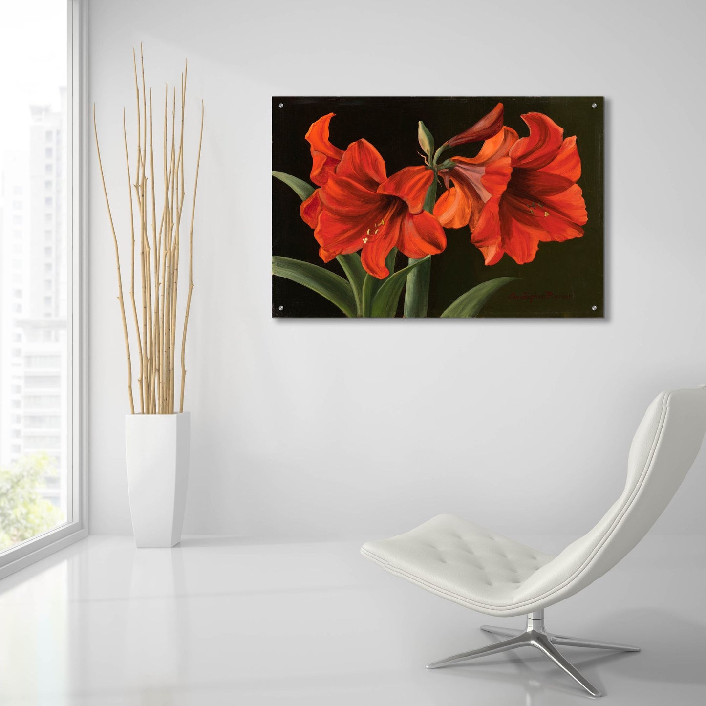 Epic Art 'Amaryllis' by Christopher Pierce, Acrylic Glass Wall Art,36x24