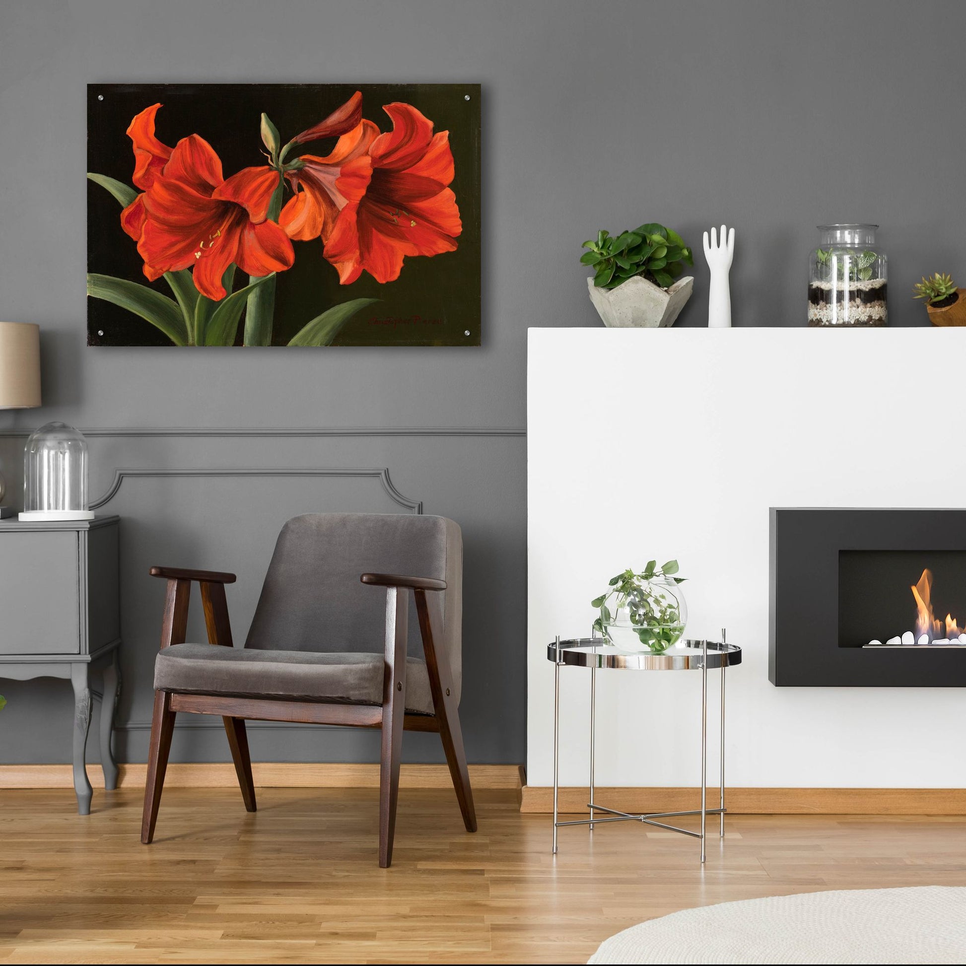 Epic Art 'Amaryllis' by Christopher Pierce, Acrylic Glass Wall Art,36x24