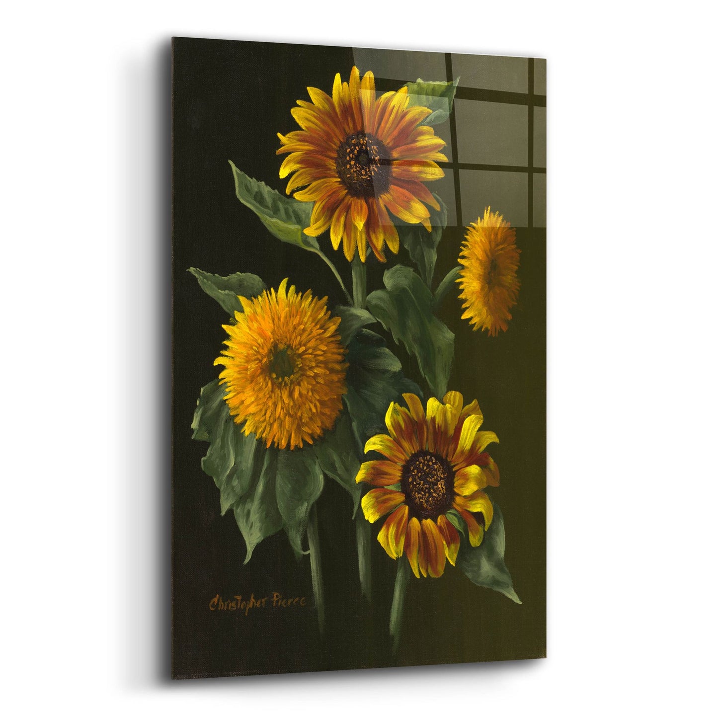 Epic Art 'Four Sunflowers' by Christopher Pierce, Acrylic Glass Wall Art,12x16