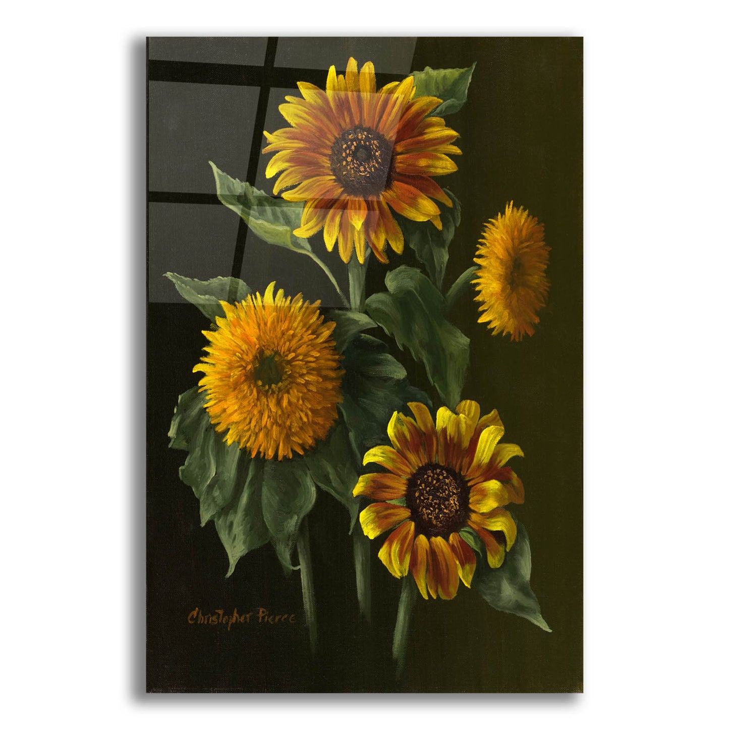 Epic Art 'Four Sunflowers' by Christopher Pierce, Acrylic Glass Wall Art,12x16