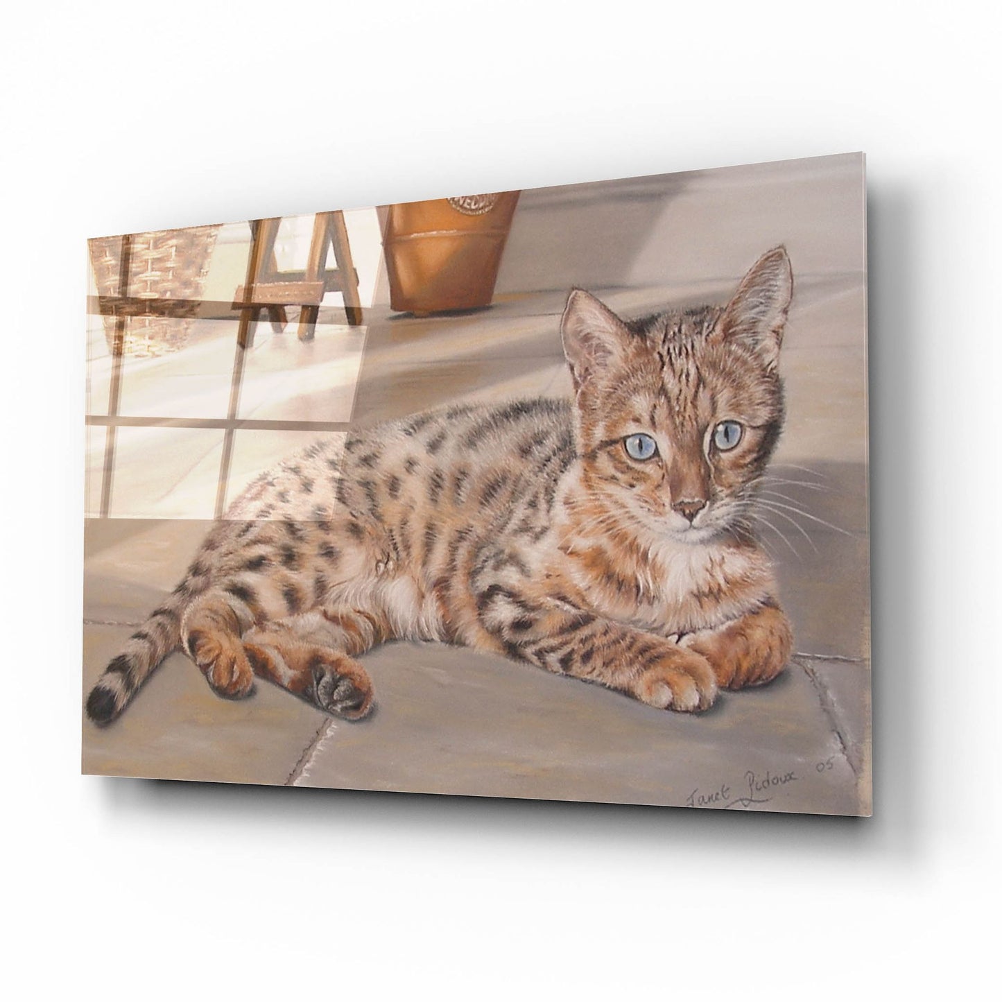 Epic Art 'Bengal Kitten' by Janet Pidoux, Acrylic Glass Wall Art,16x12