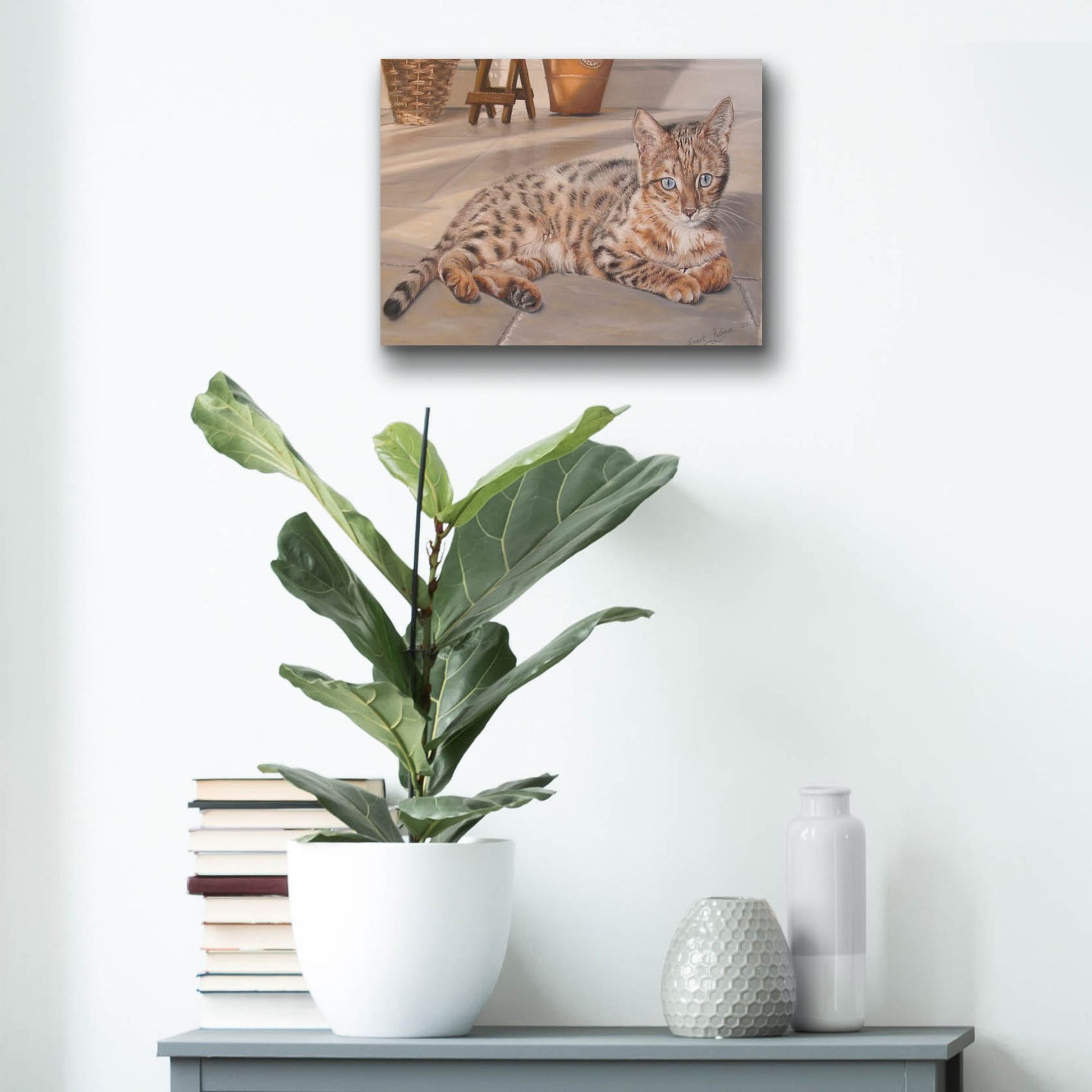 Epic Art 'Bengal Kitten' by Janet Pidoux, Acrylic Glass Wall Art,16x12