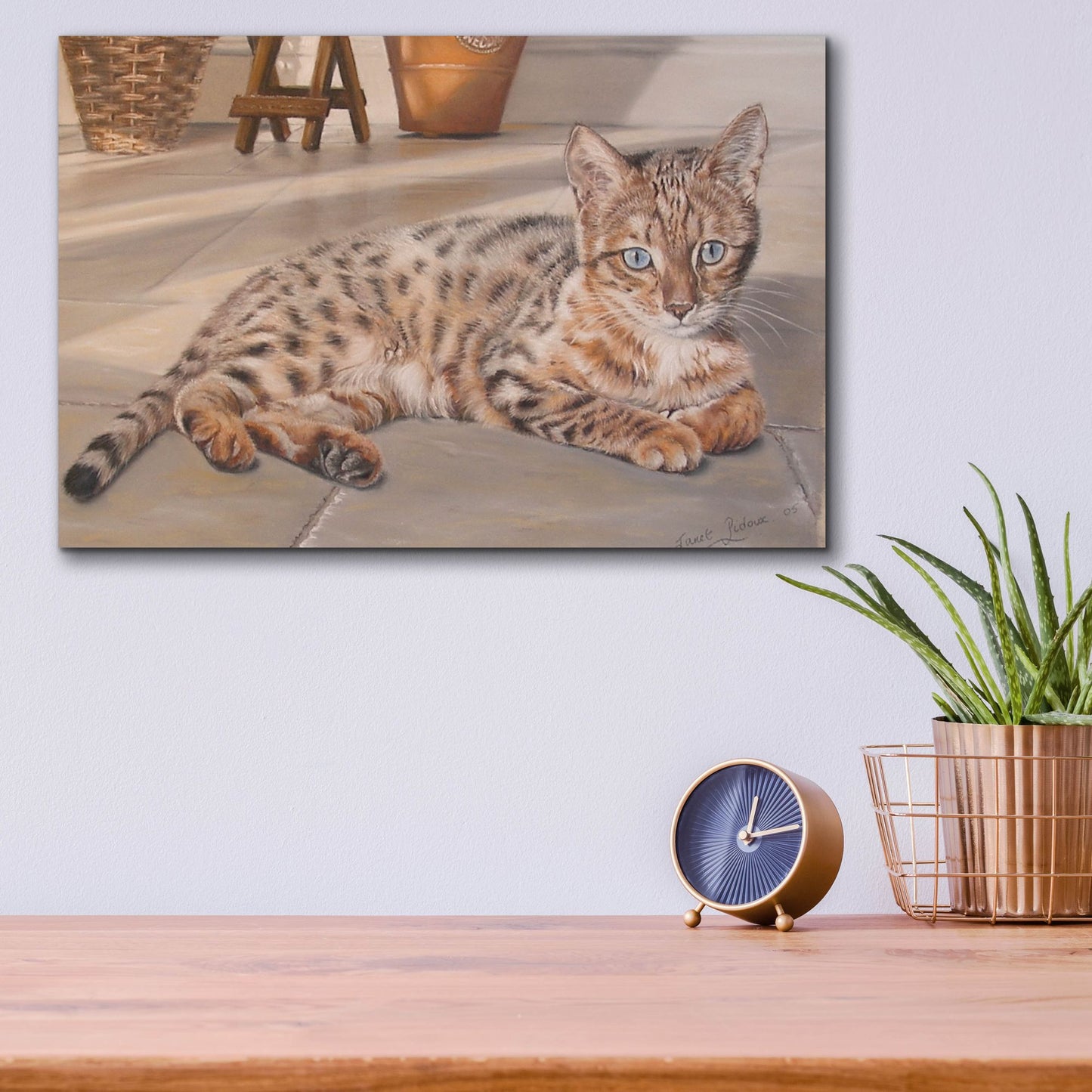 Epic Art 'Bengal Kitten' by Janet Pidoux, Acrylic Glass Wall Art,16x12