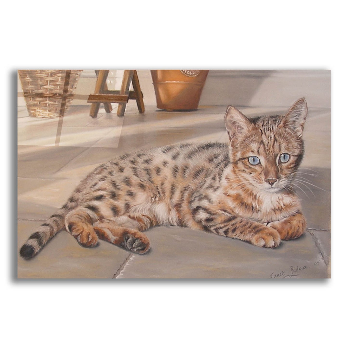 Epic Art 'Bengal Kitten' by Janet Pidoux, Acrylic Glass Wall Art,16x12