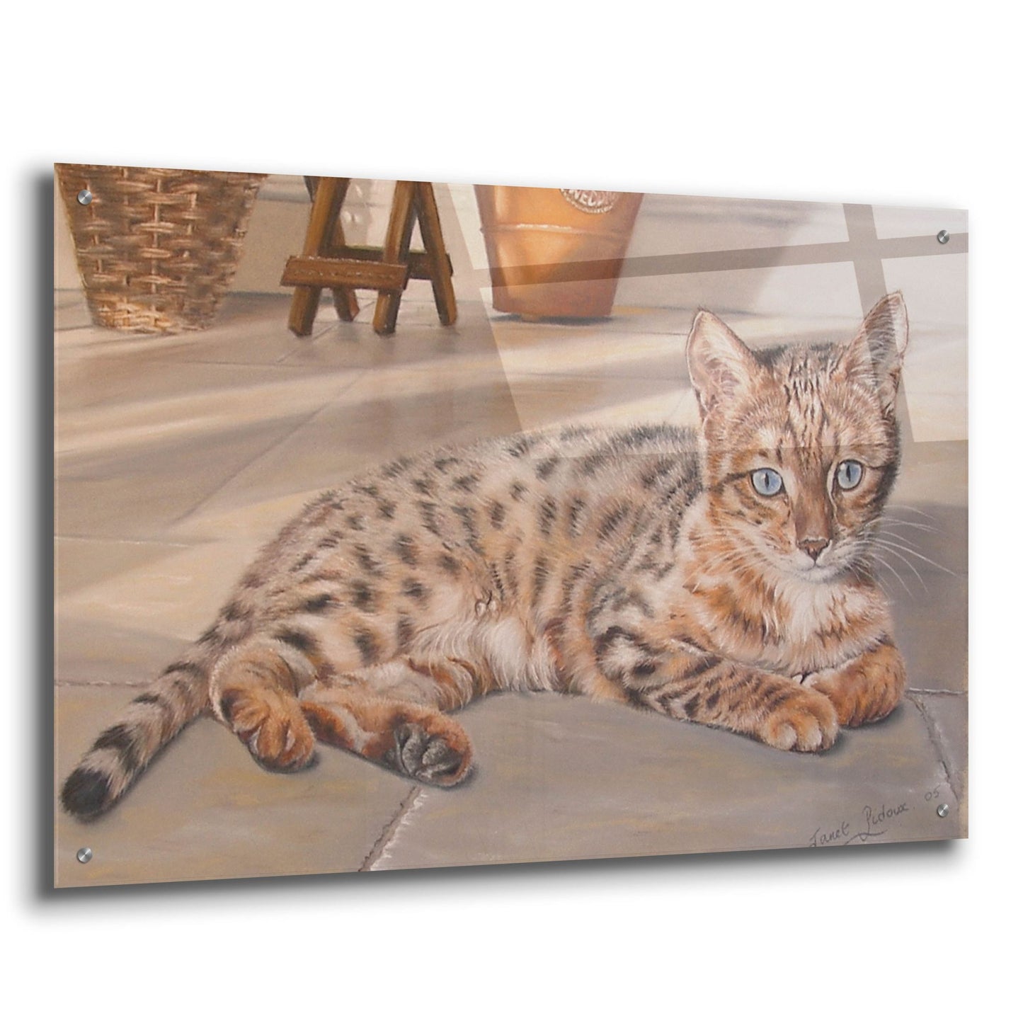 Epic Art 'Bengal Kitten' by Janet Pidoux, Acrylic Glass Wall Art,36x24