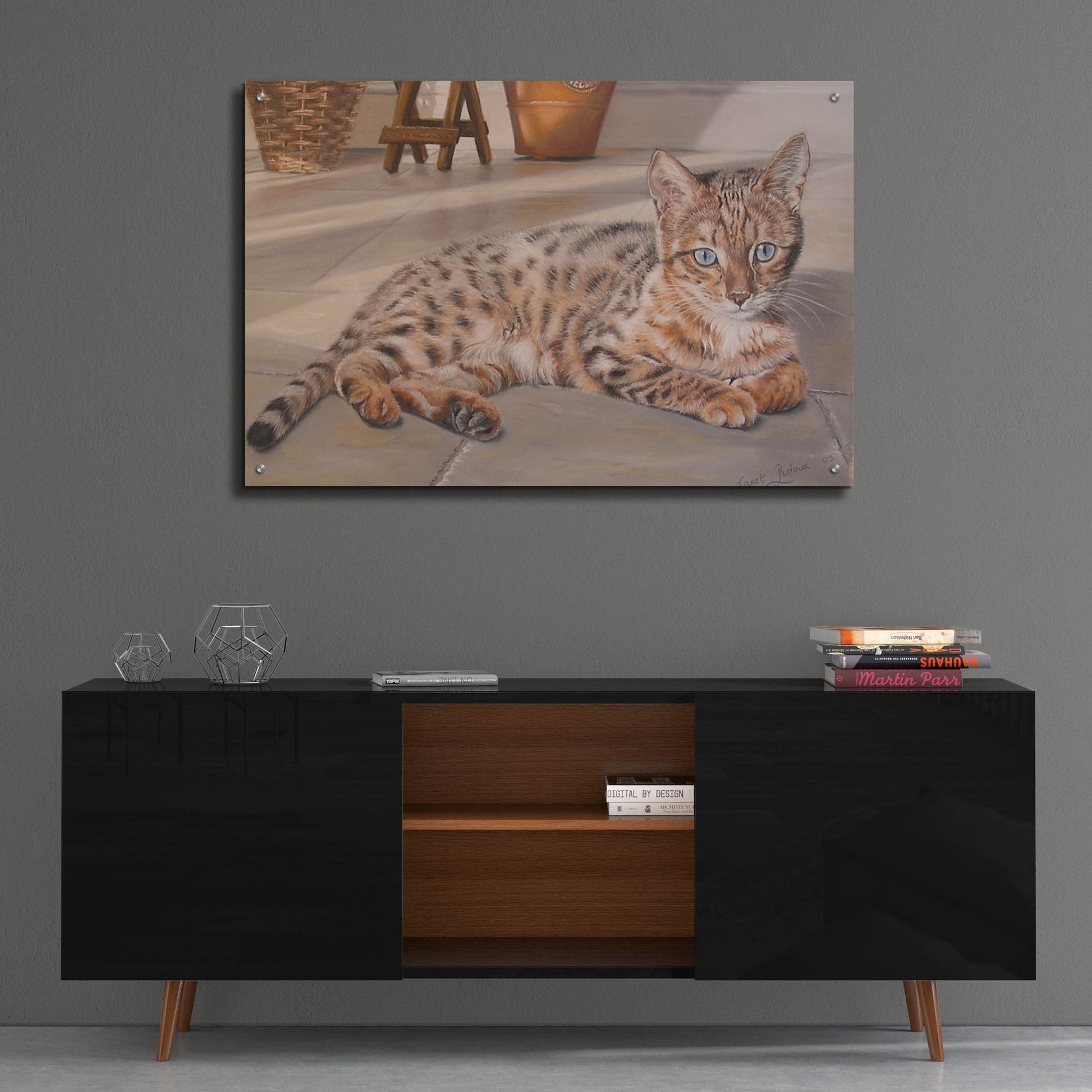 Epic Art 'Bengal Kitten' by Janet Pidoux, Acrylic Glass Wall Art,36x24