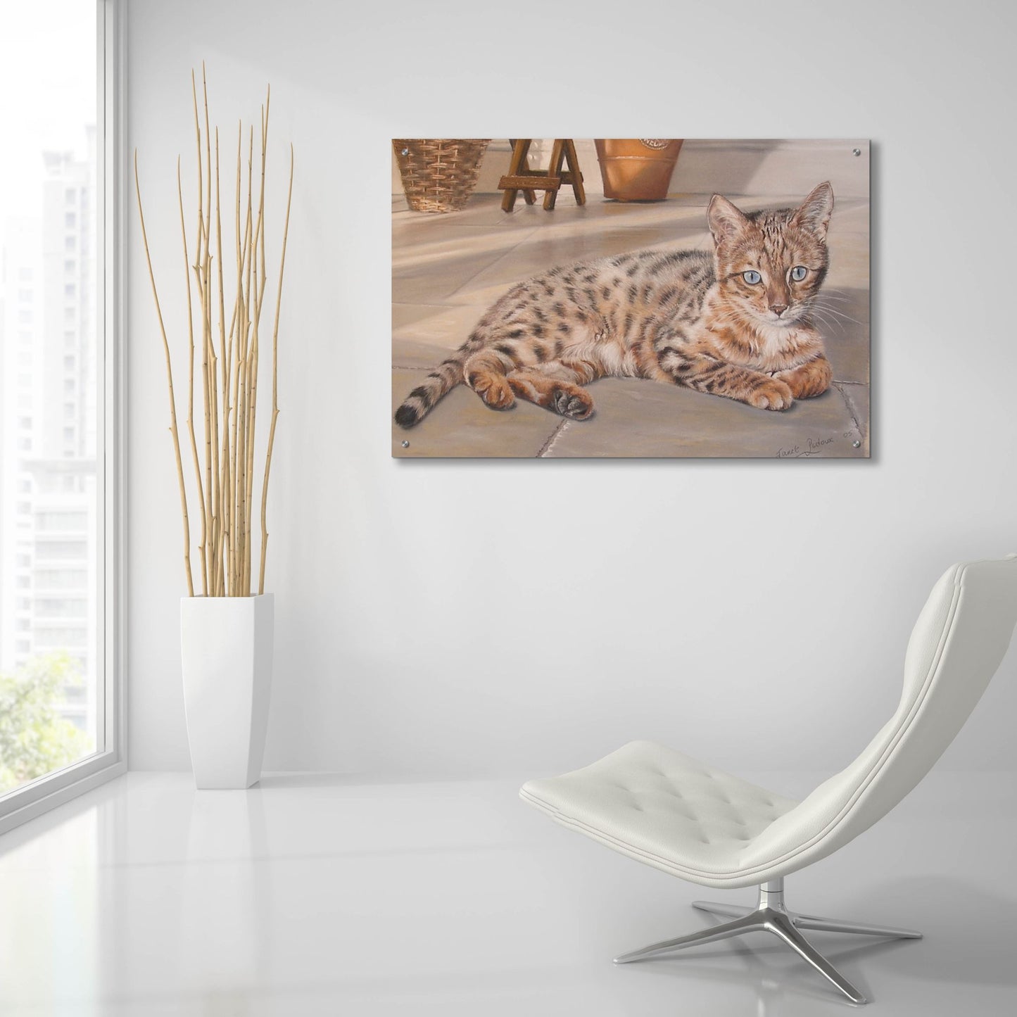 Epic Art 'Bengal Kitten' by Janet Pidoux, Acrylic Glass Wall Art,36x24